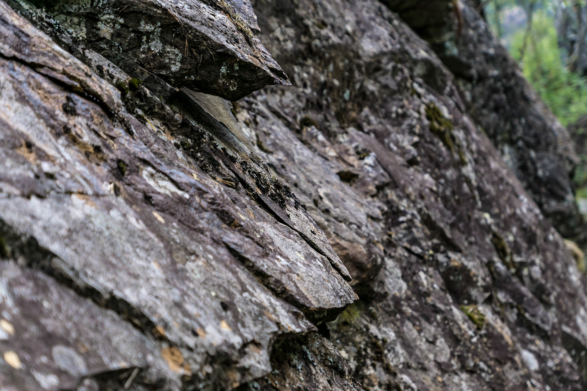 Sony ILCA-77M2 | DT 16-50mm F2.8 SSM @ ISO 400 | 50 mm | f/3.5 | 1/50 s