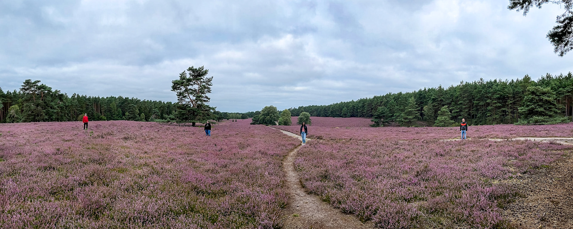 Heide Panorama