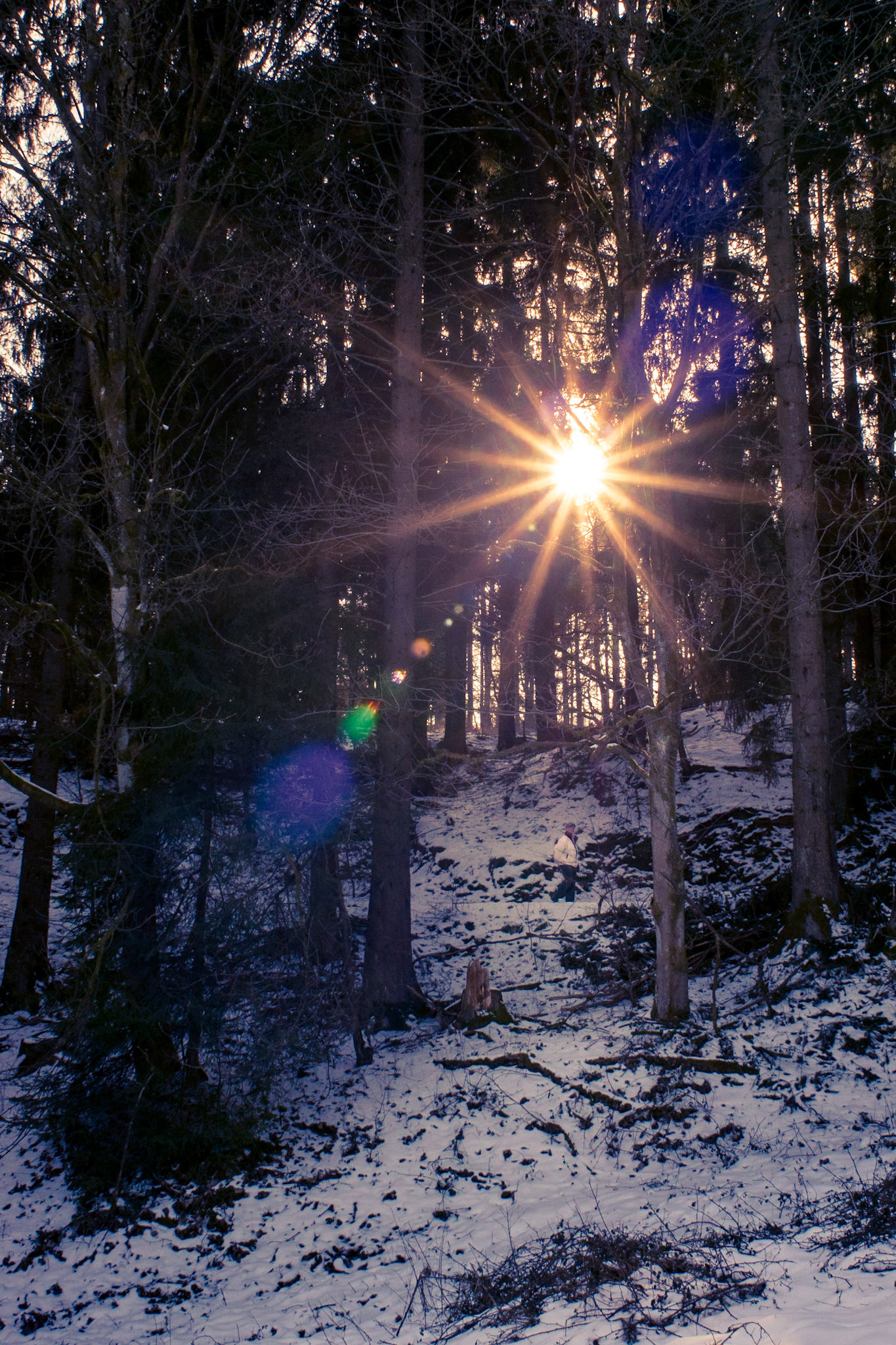 Sony ILCA-77M2 | 24mm F2.8 @ ISO 400 | 24 mm | f/18 | 1/60 s