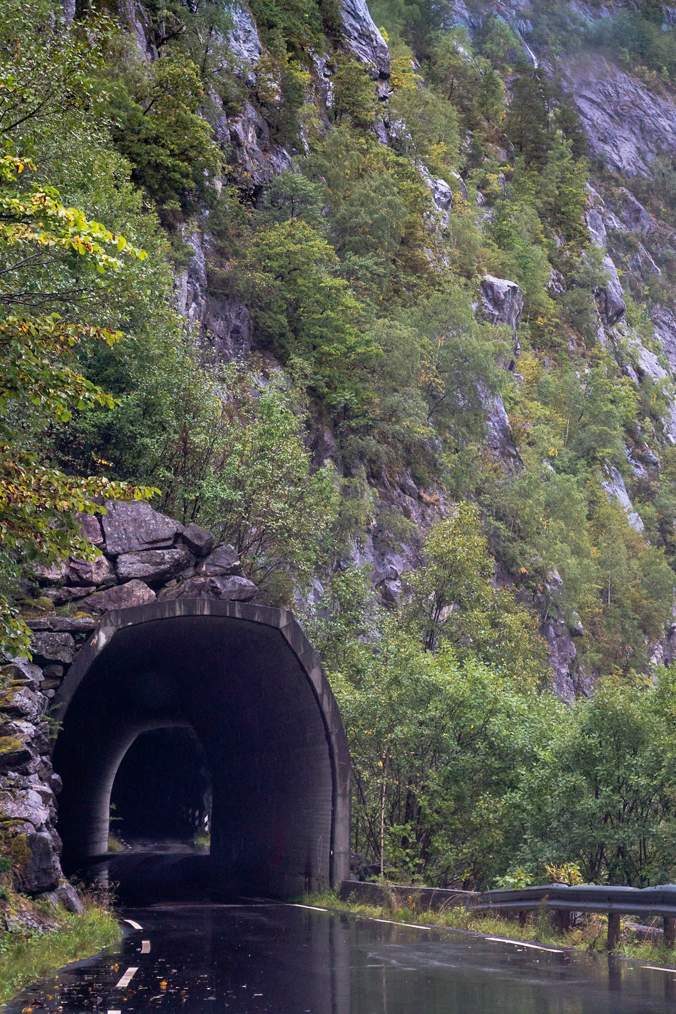 Sony ILCA-77M2 | DT 16-50mm F2.8 SSM @ ISO 800 | 50 mm | f/5.6 | 1/160 s