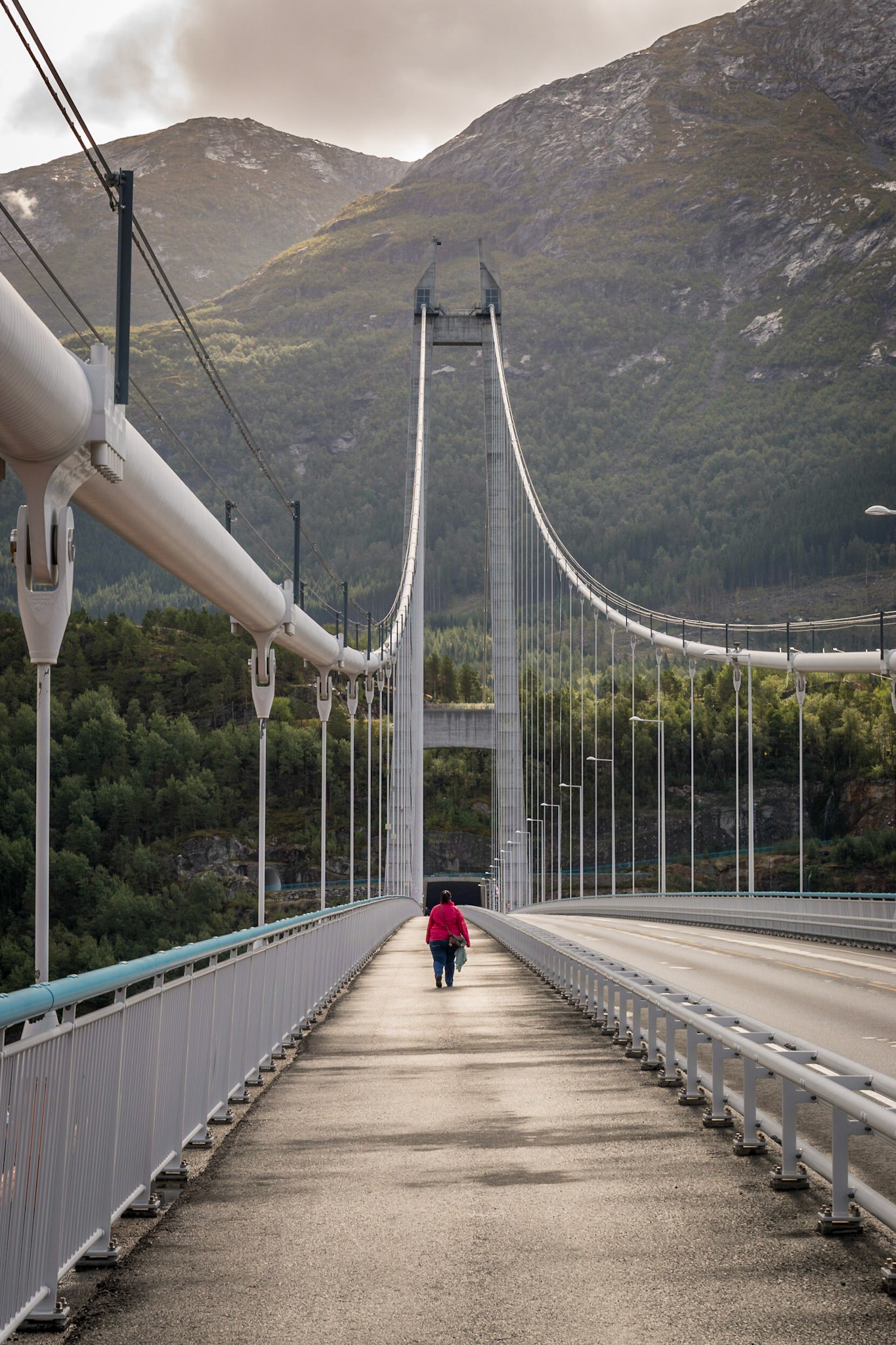 Sony ILCA-77M2 | DT 16-50mm F2.8 SSM @ ISO 100 | 50 mm | f/6.3 | 1/125 s