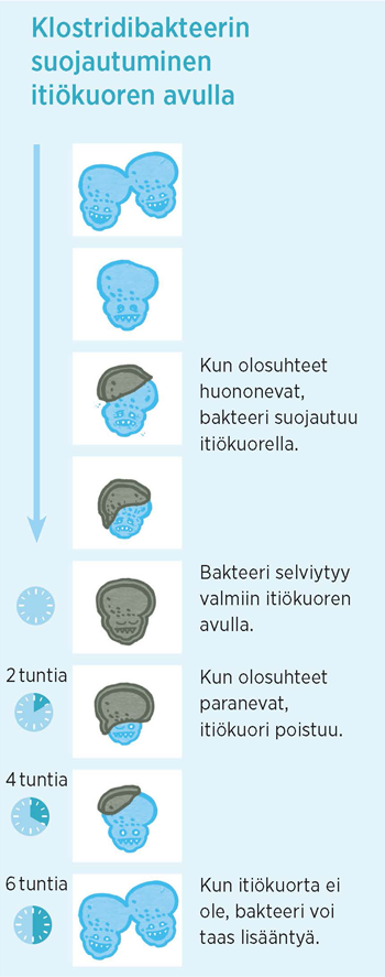 Antti Ollikainen - Ruokaa hygieenisesti