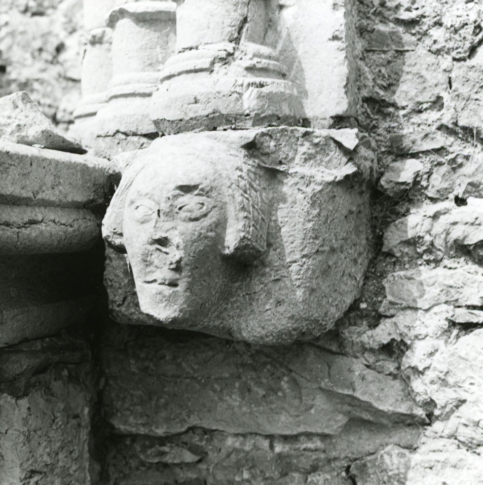 Image 14