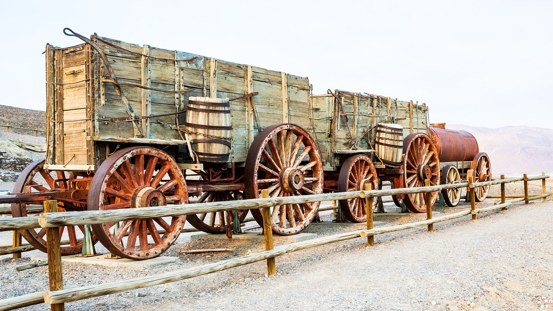 20 Mule Team Wagon Gear