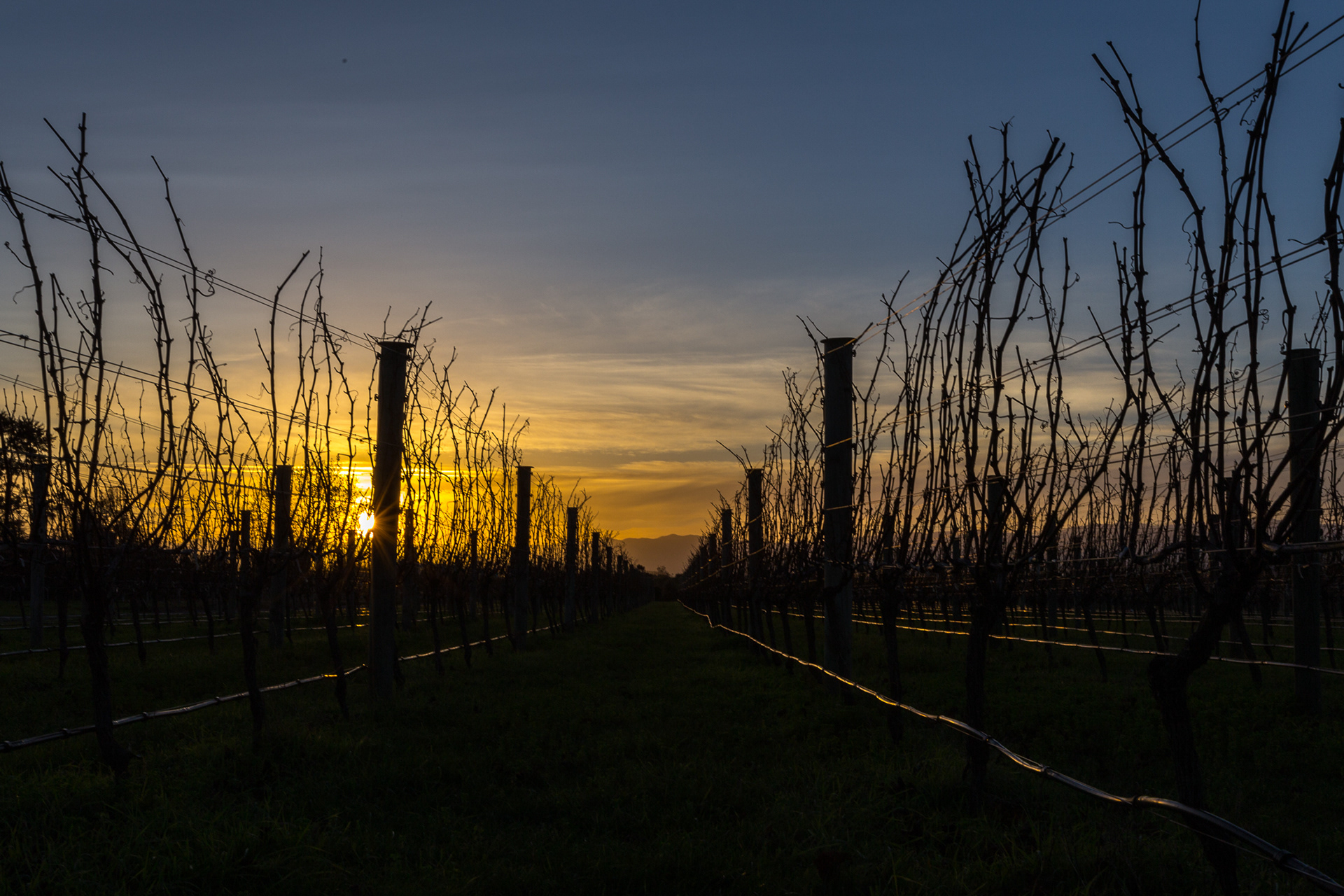 Martinborough NZ