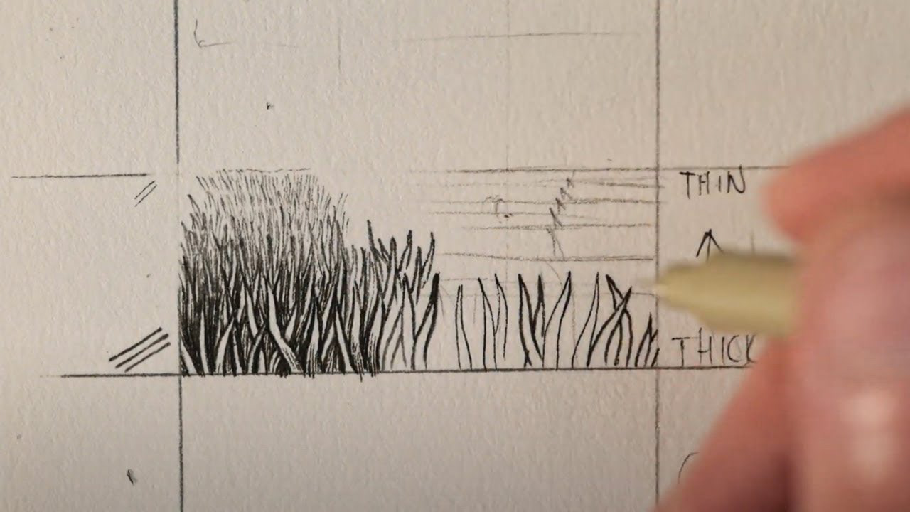 Drawing Grass and Hair Tutorial