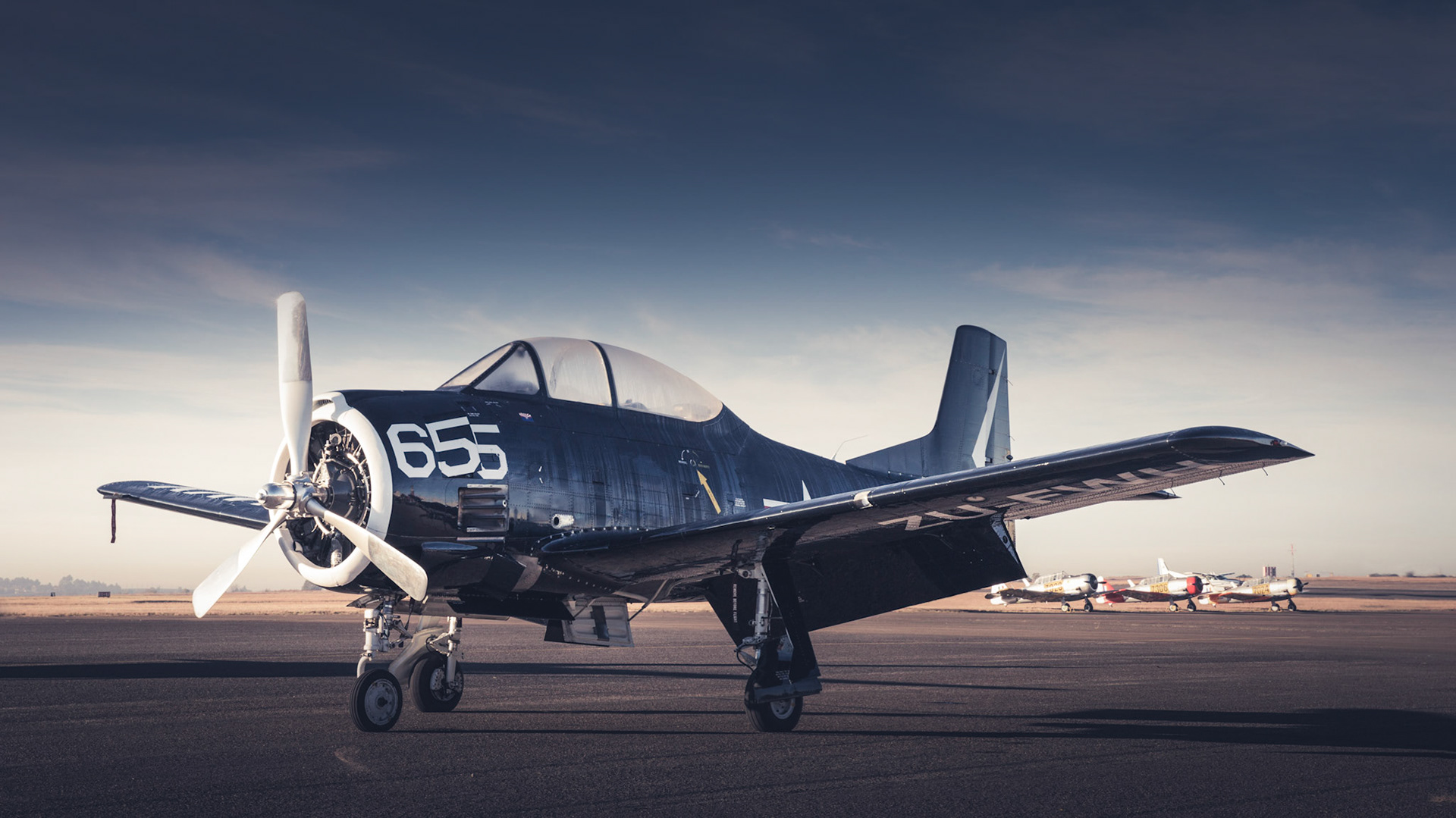 655 - T 28 Trojan AFB Swarkops 2014
