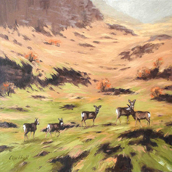 "Valley of the Deer" / Oil on Canvas / 16" x 16" / Available / CAD 500$ Framed