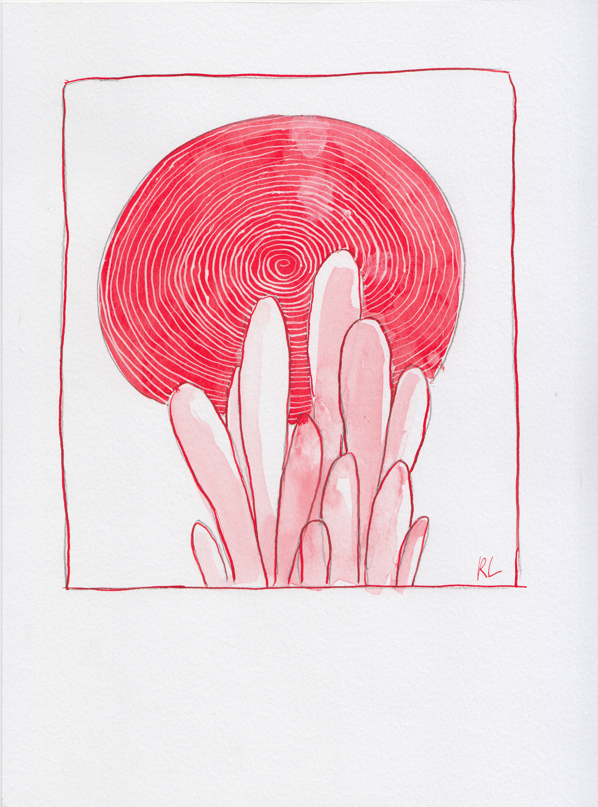 Fungus Study - Ink on paper, A4 - £10