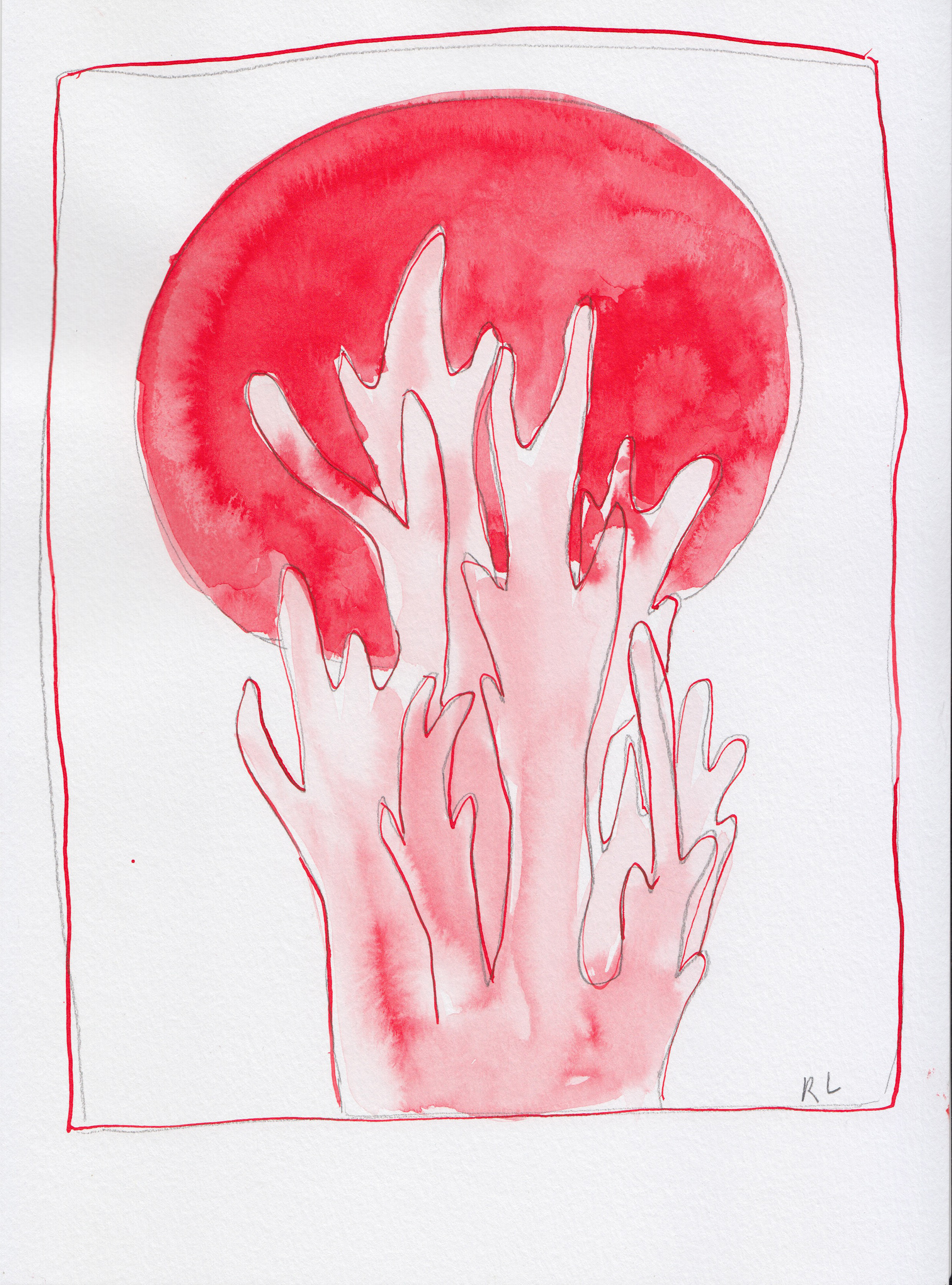 Coral fungus study - Ink on paper, A4 £13
