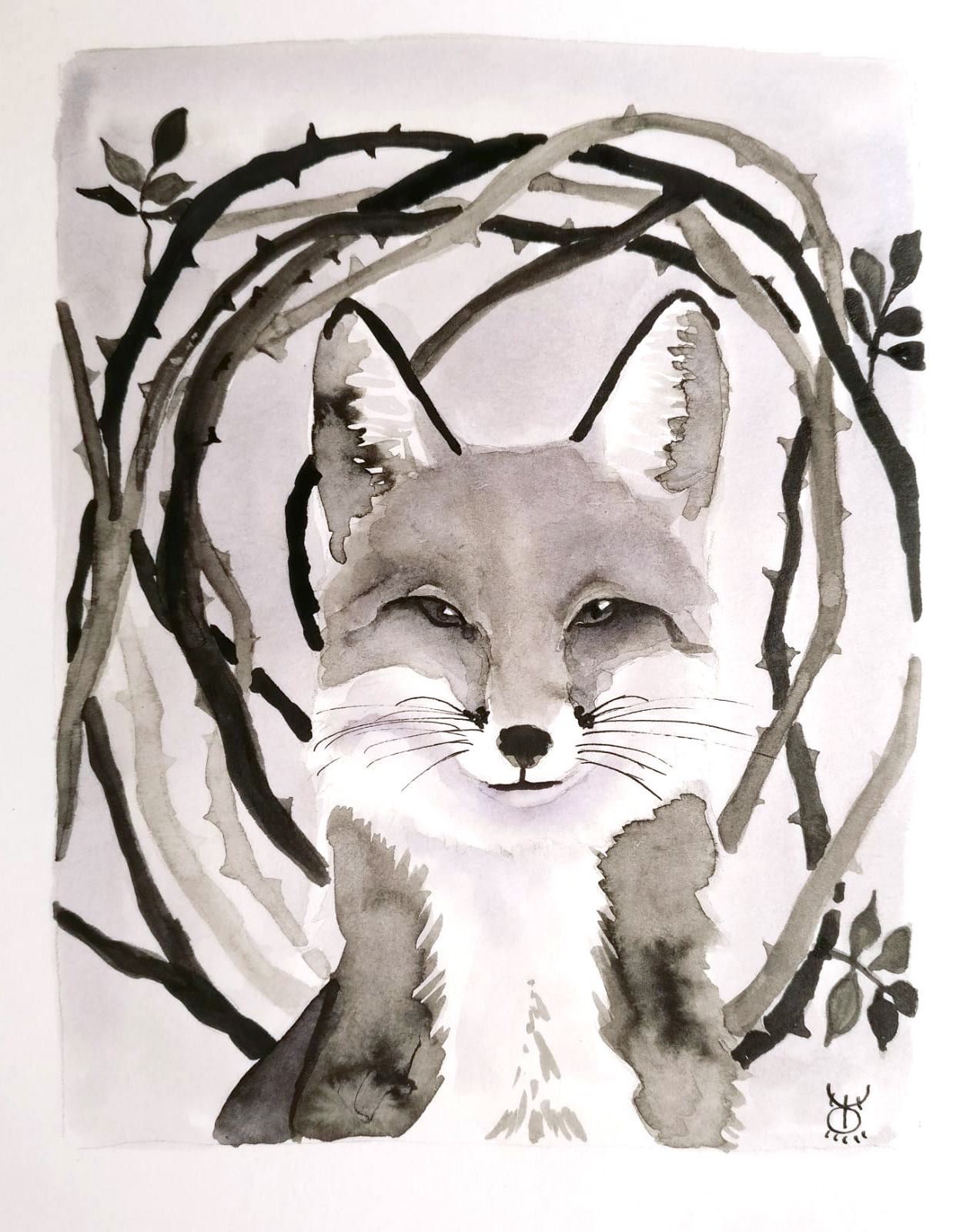 Fox with brambles study - sold