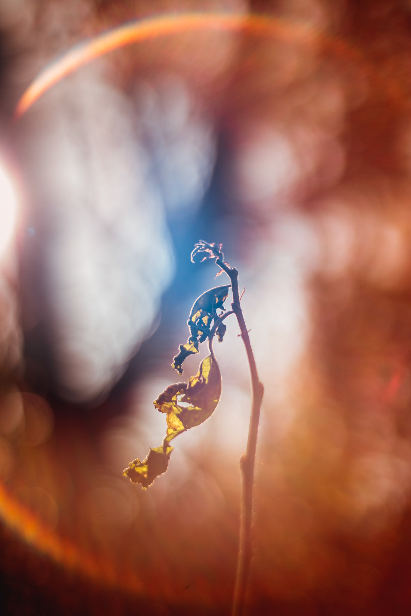 Grant Stull Photography