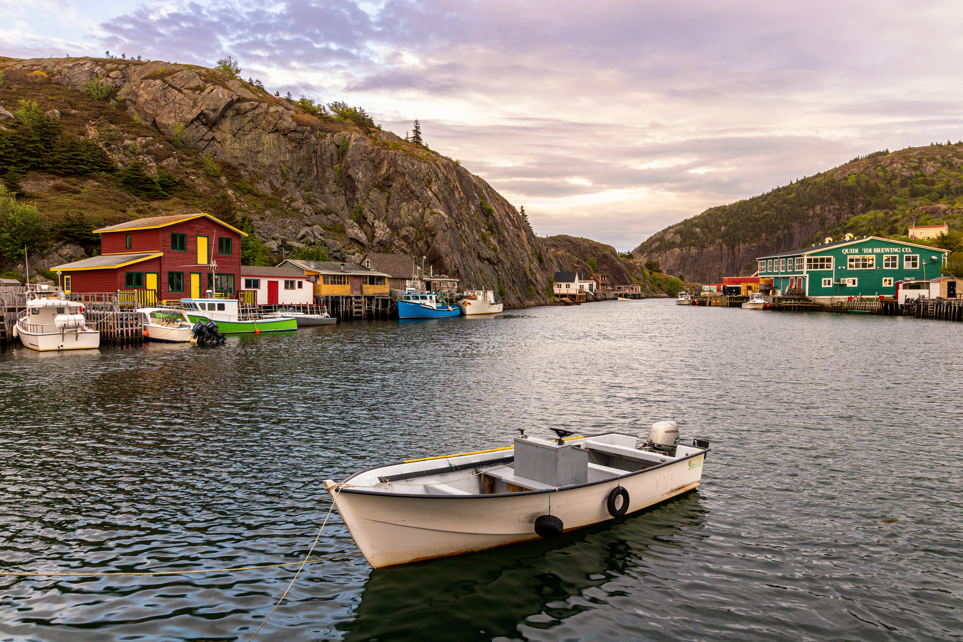 Quidi Vidi