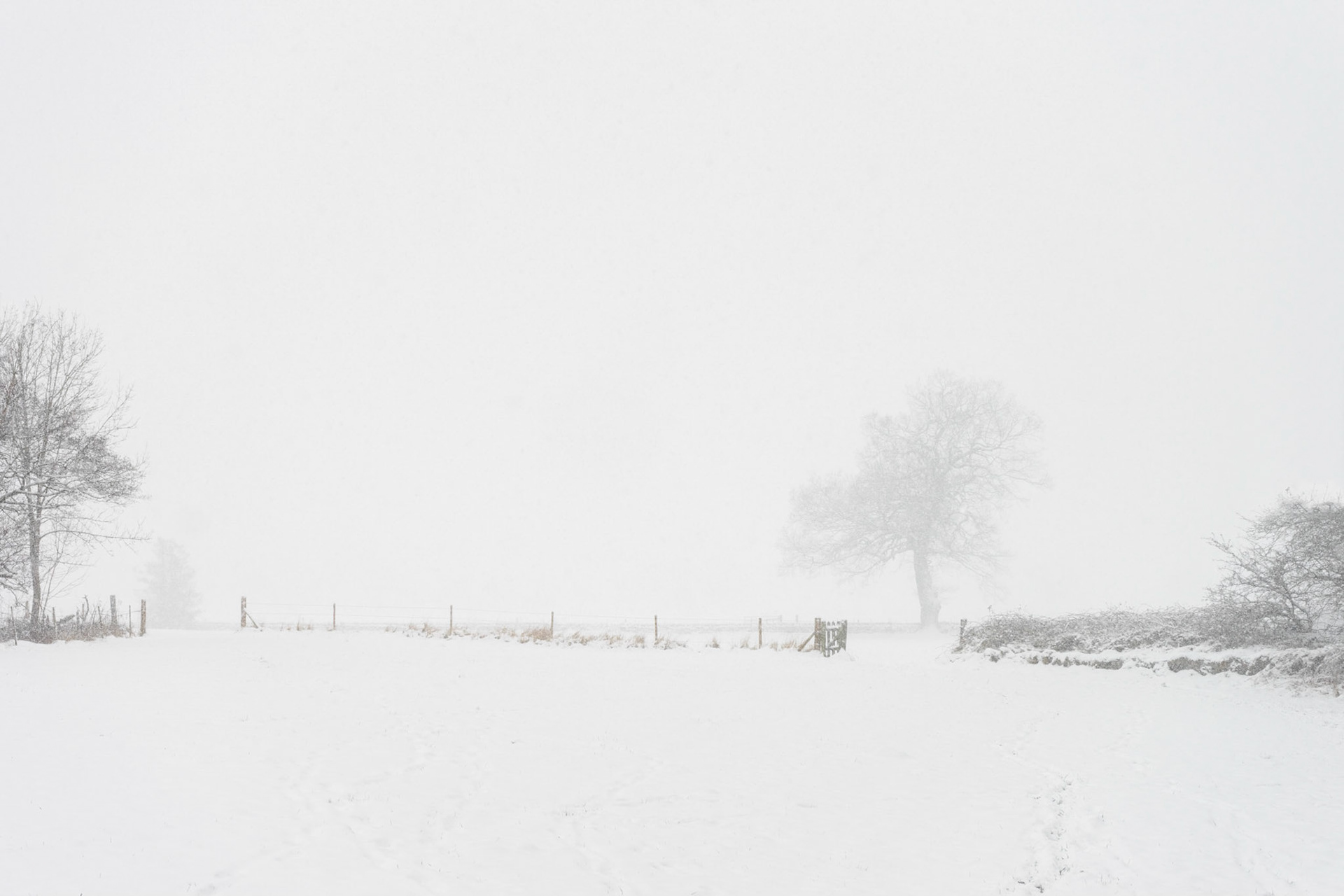 Whiteout
