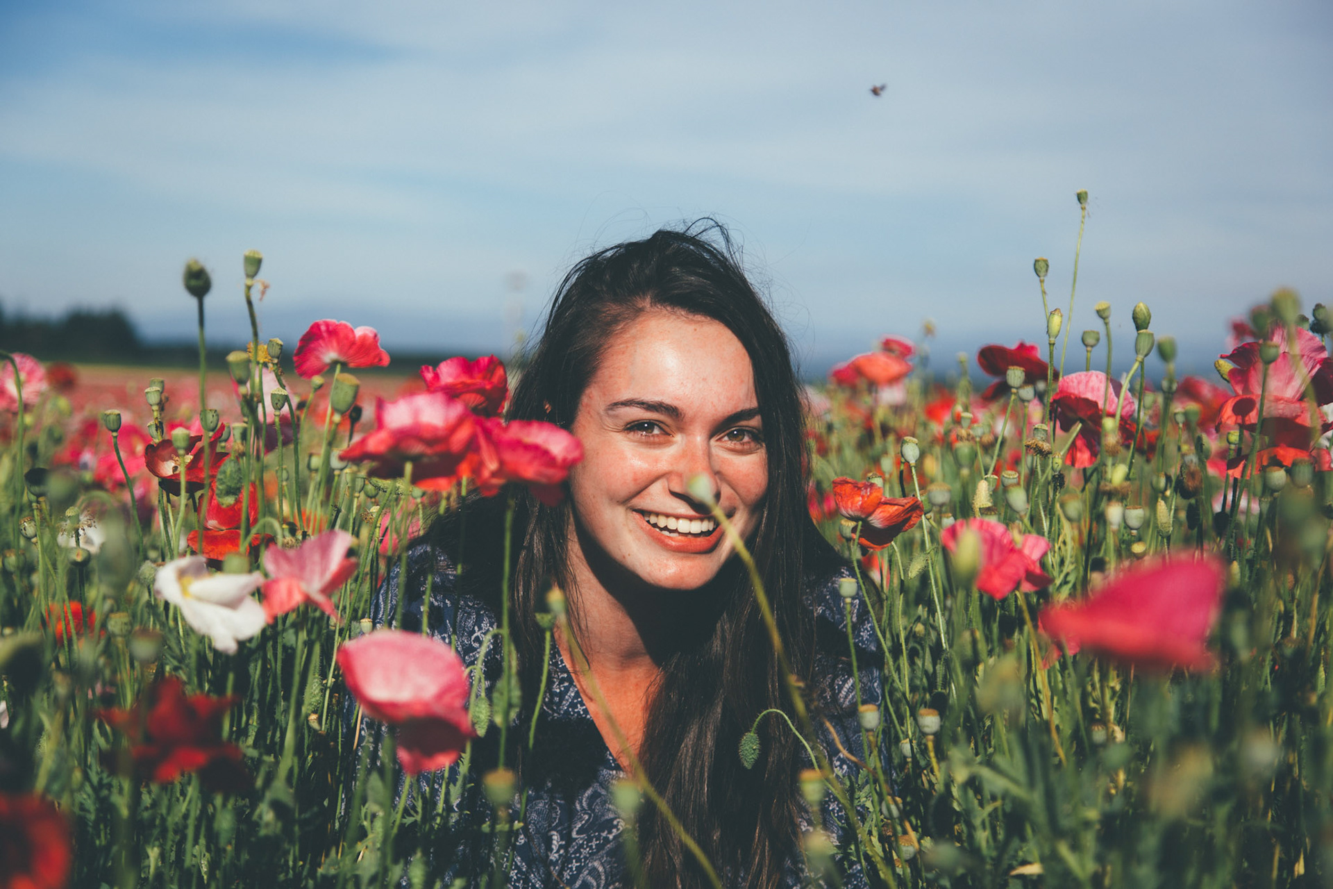 fun in the poppy fields