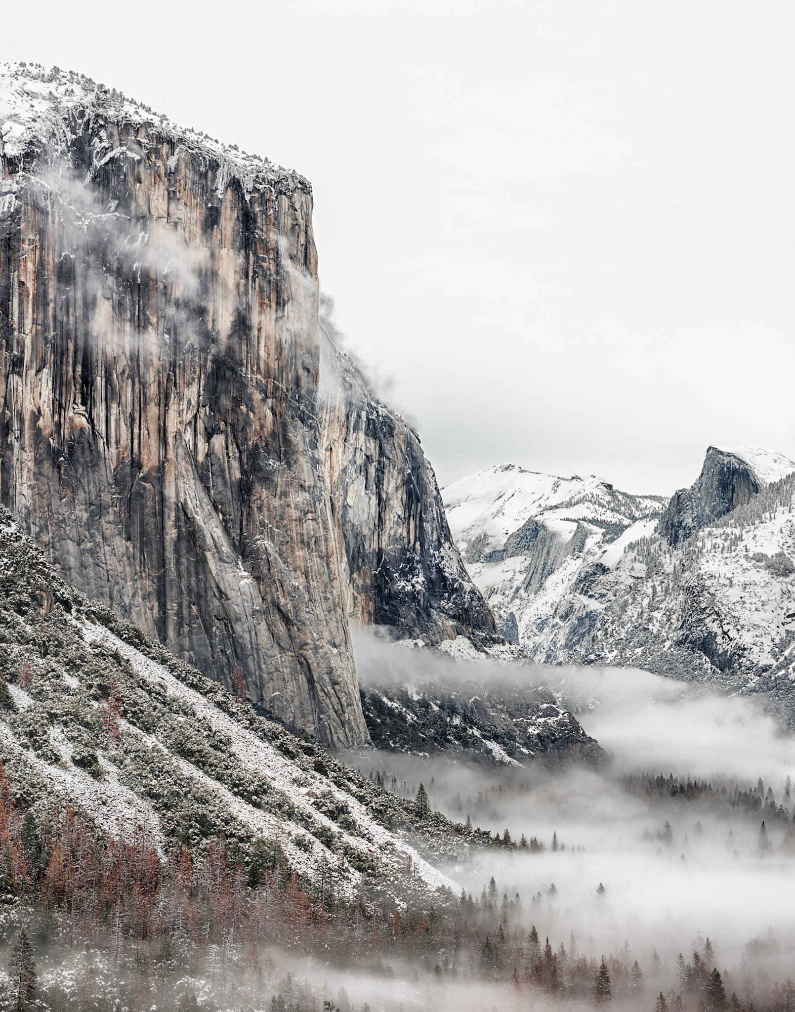 Foggy Morning El Capitan