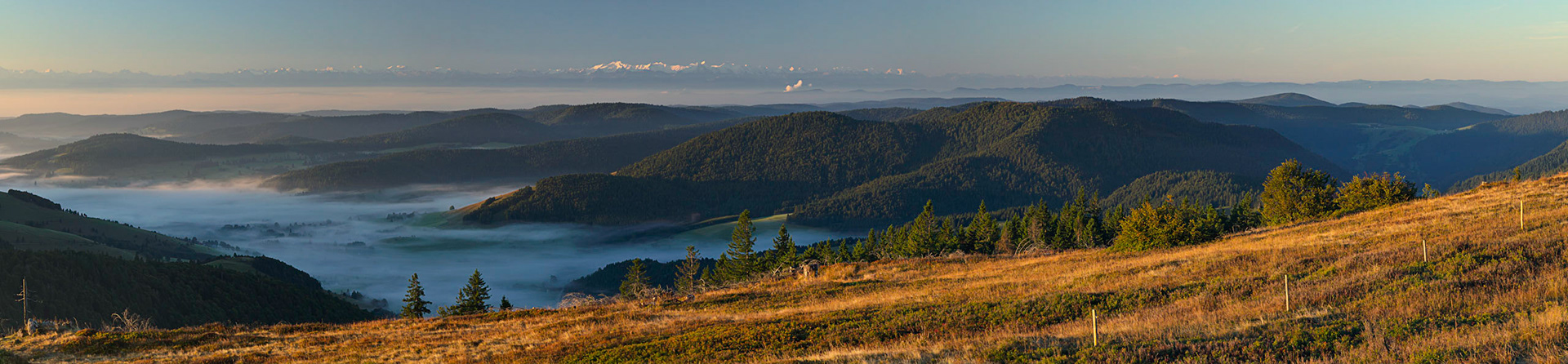 Hochschwarzwald