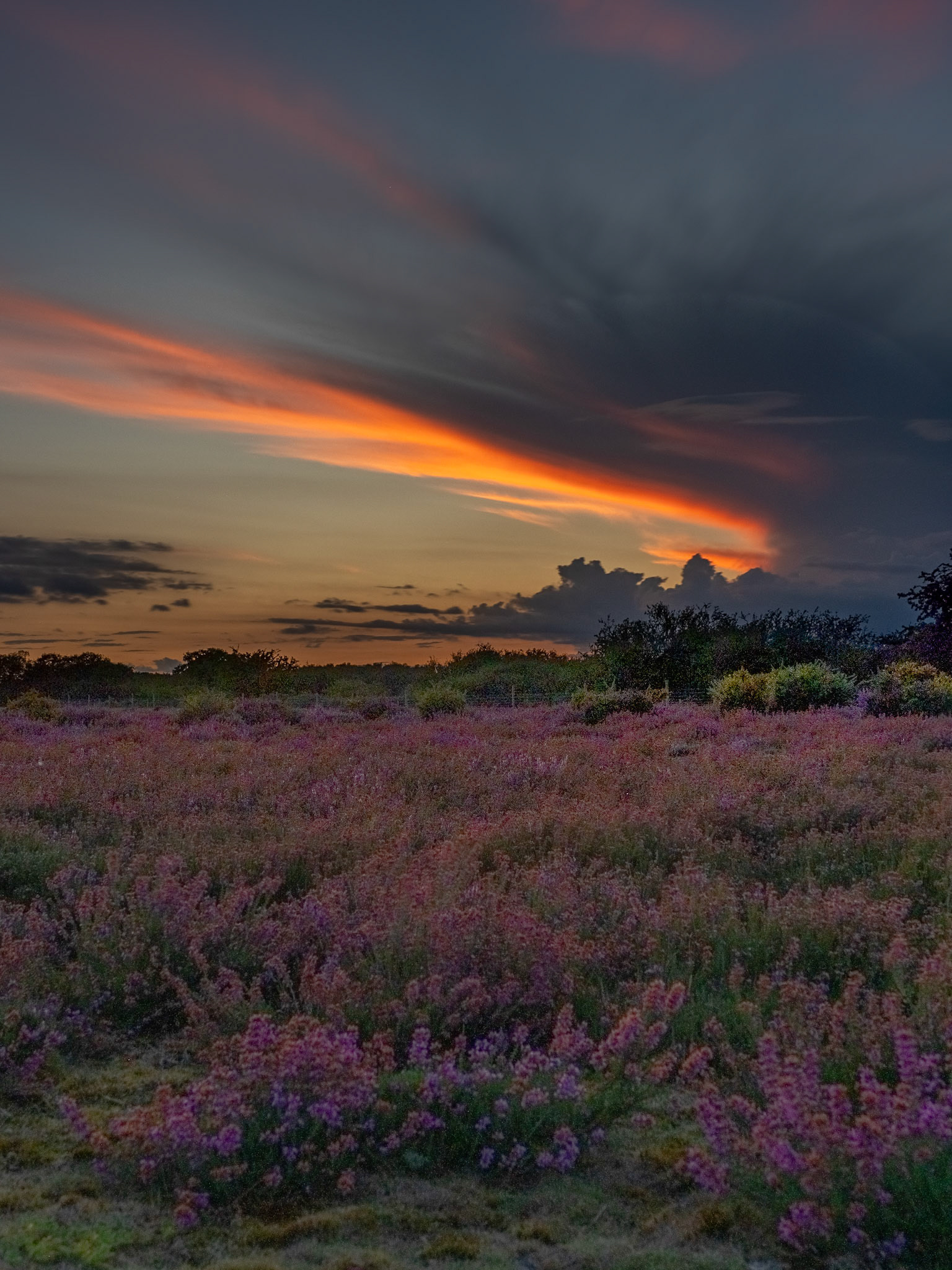 Dunwich Heath Sunset 7