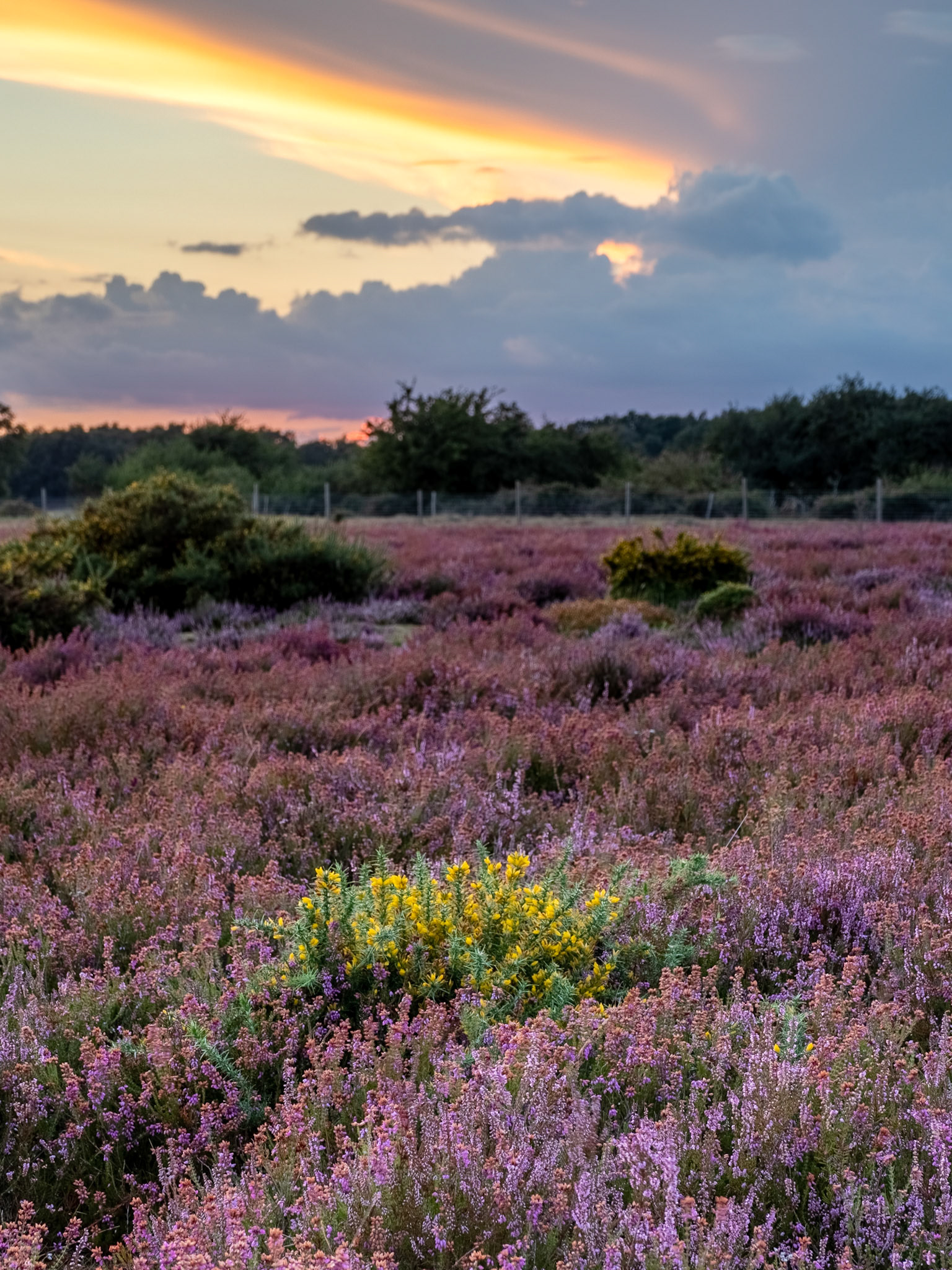 Dunwich Heath Sunset 3