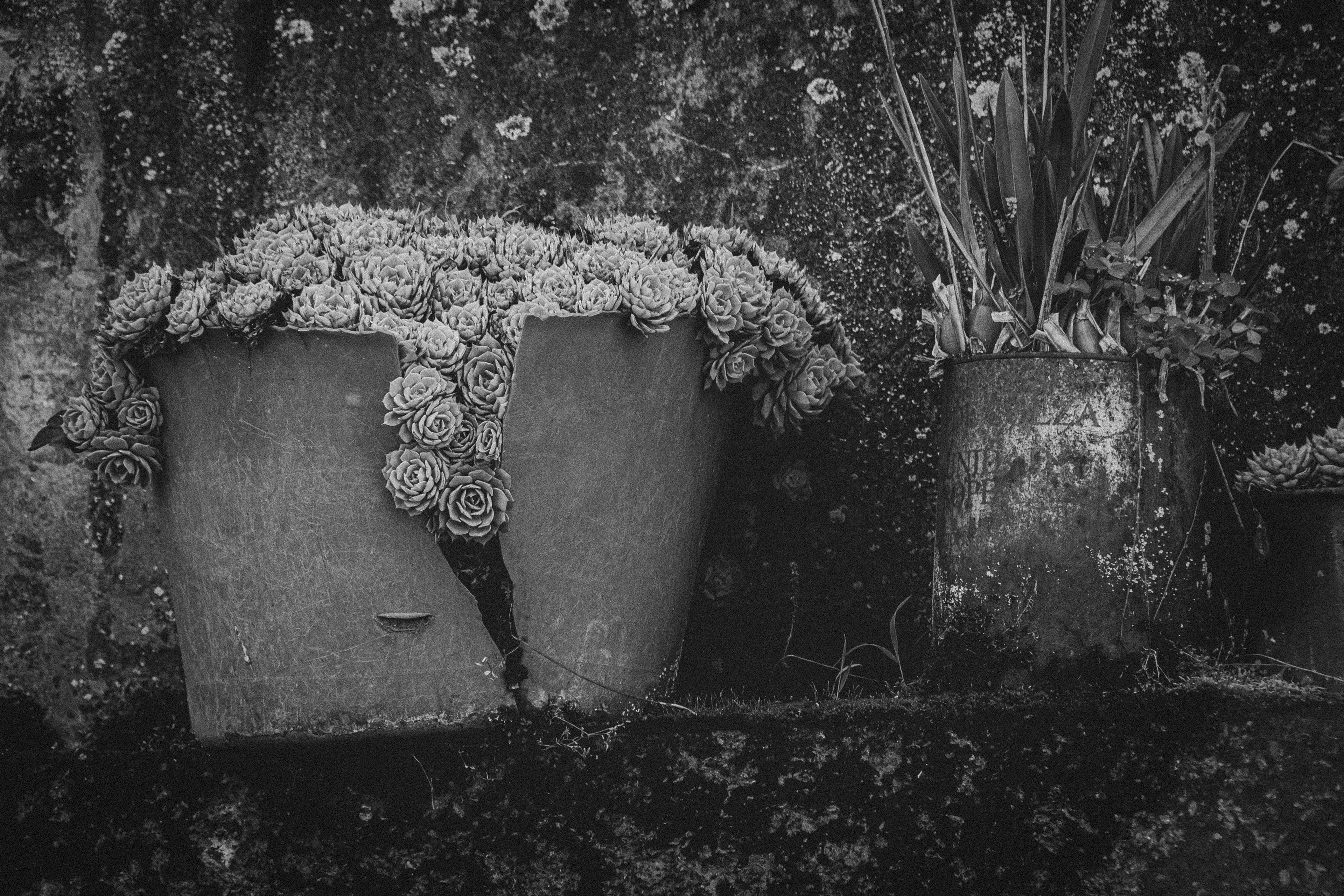Out of Brokenness