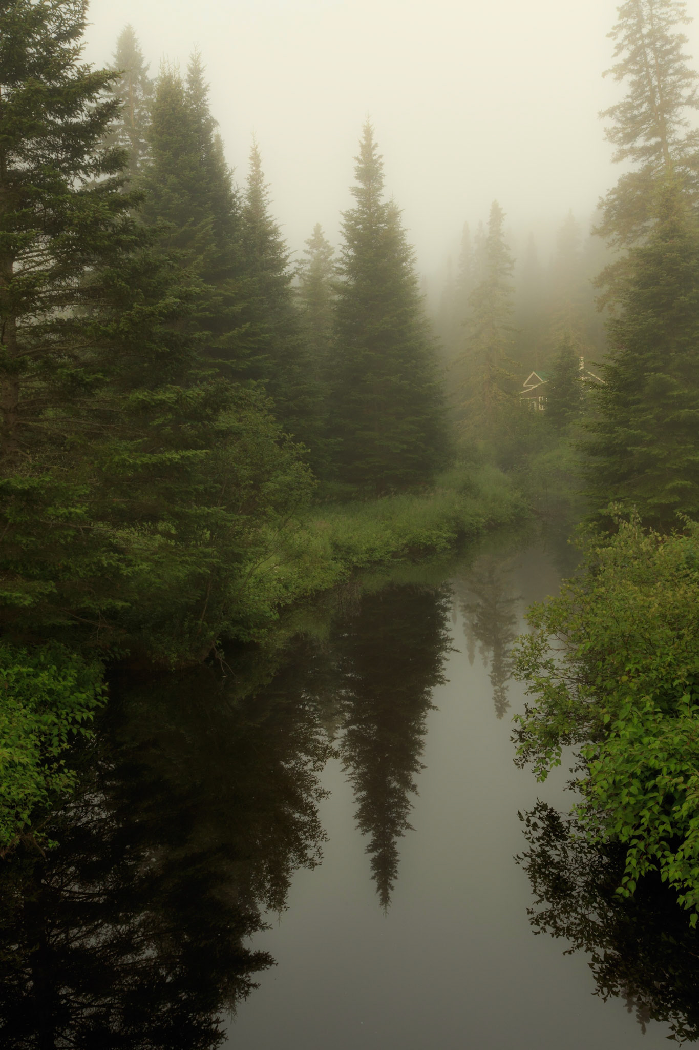 Big Brook