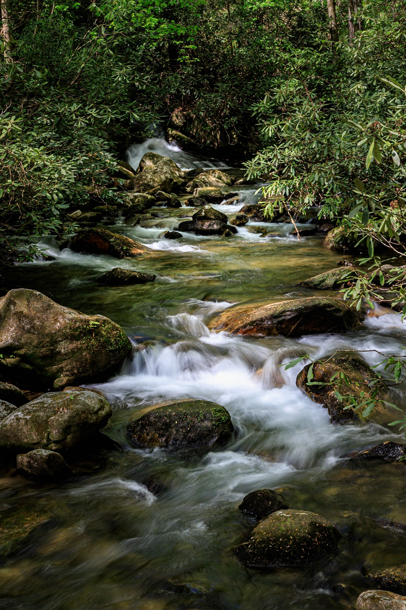 Rushing Downstream