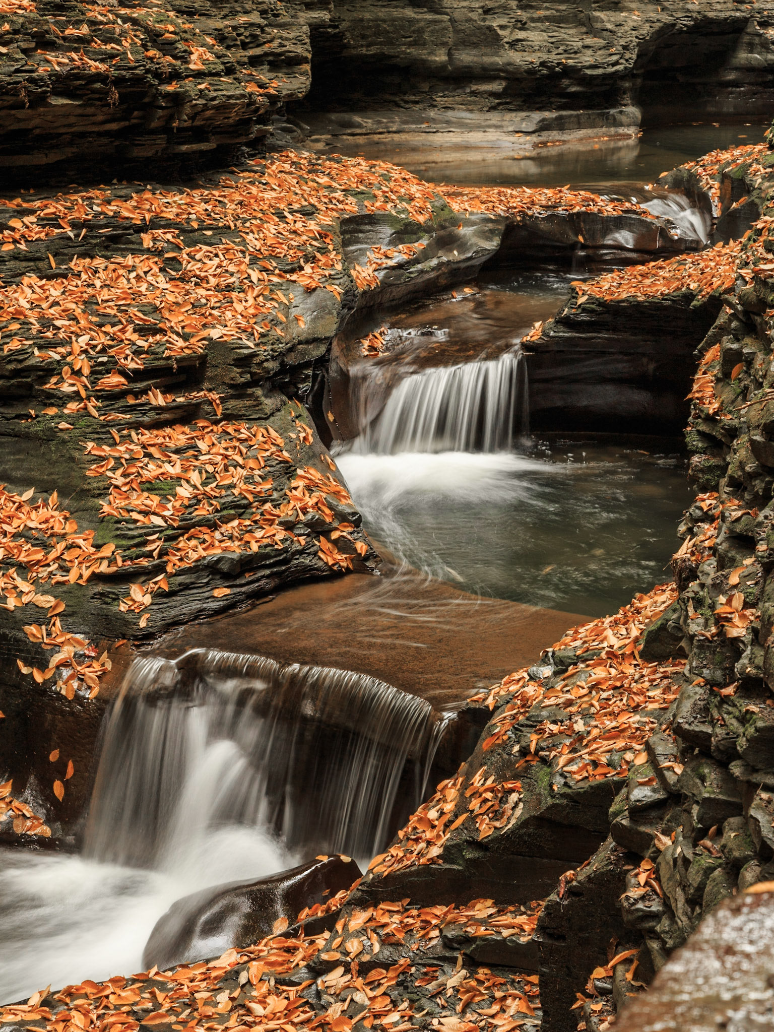 In the Glen