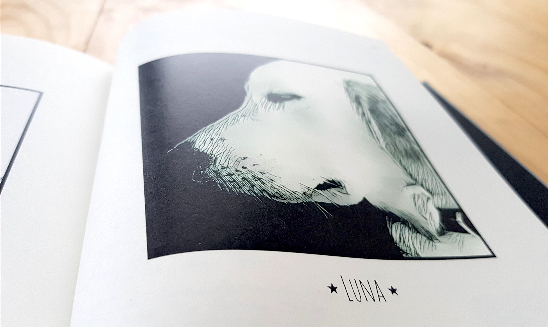 Detail Illustration Porträt Fotobuch