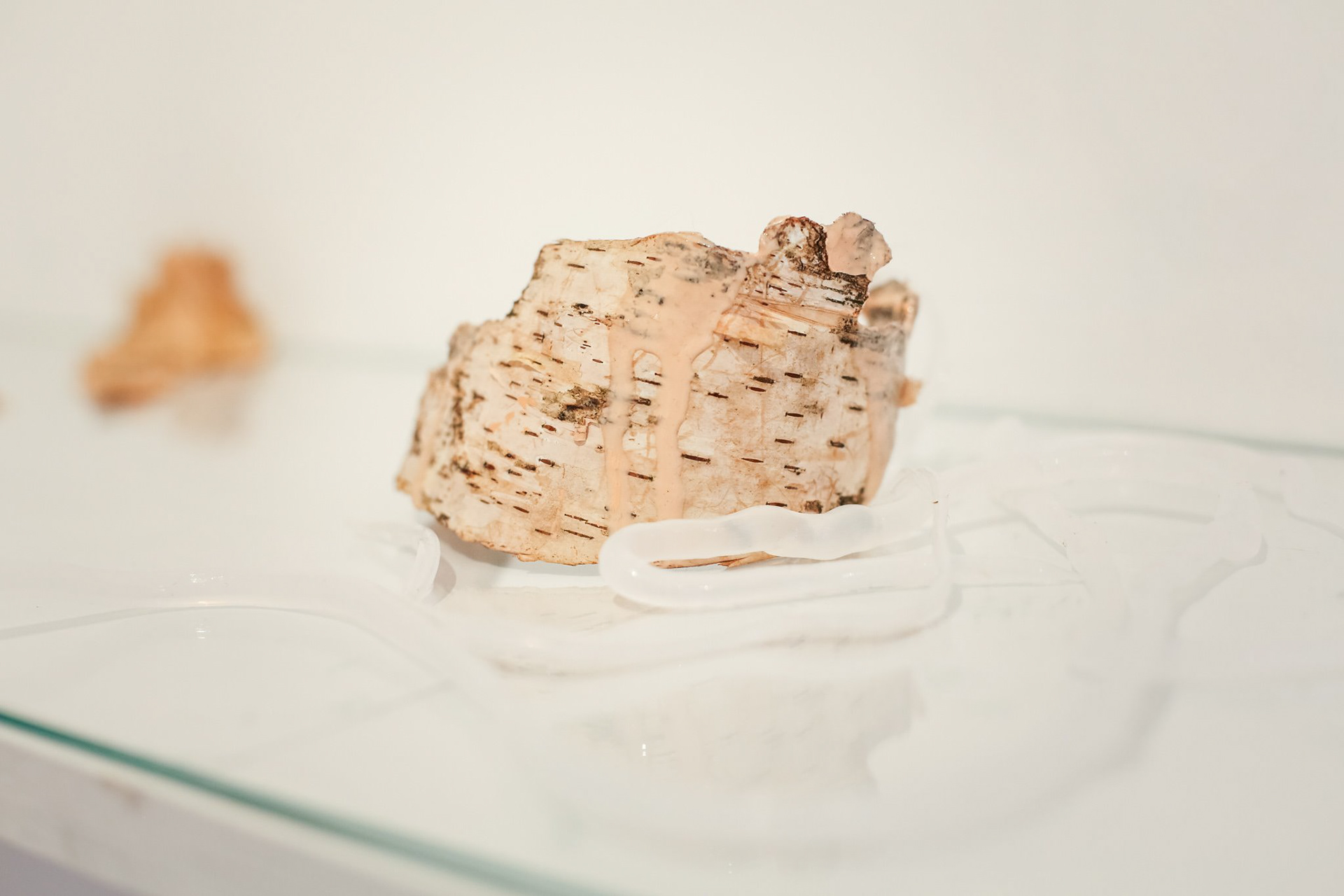 Artwork by Iza Koczanowska, photo by Agata Wnuk