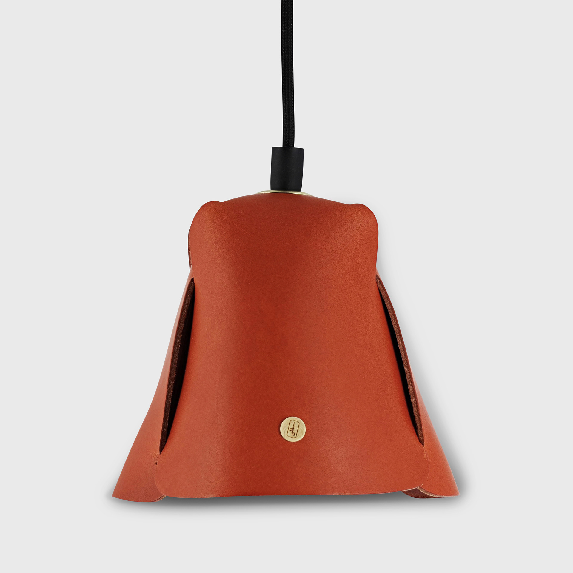 Suspension cuir (détail) 150€