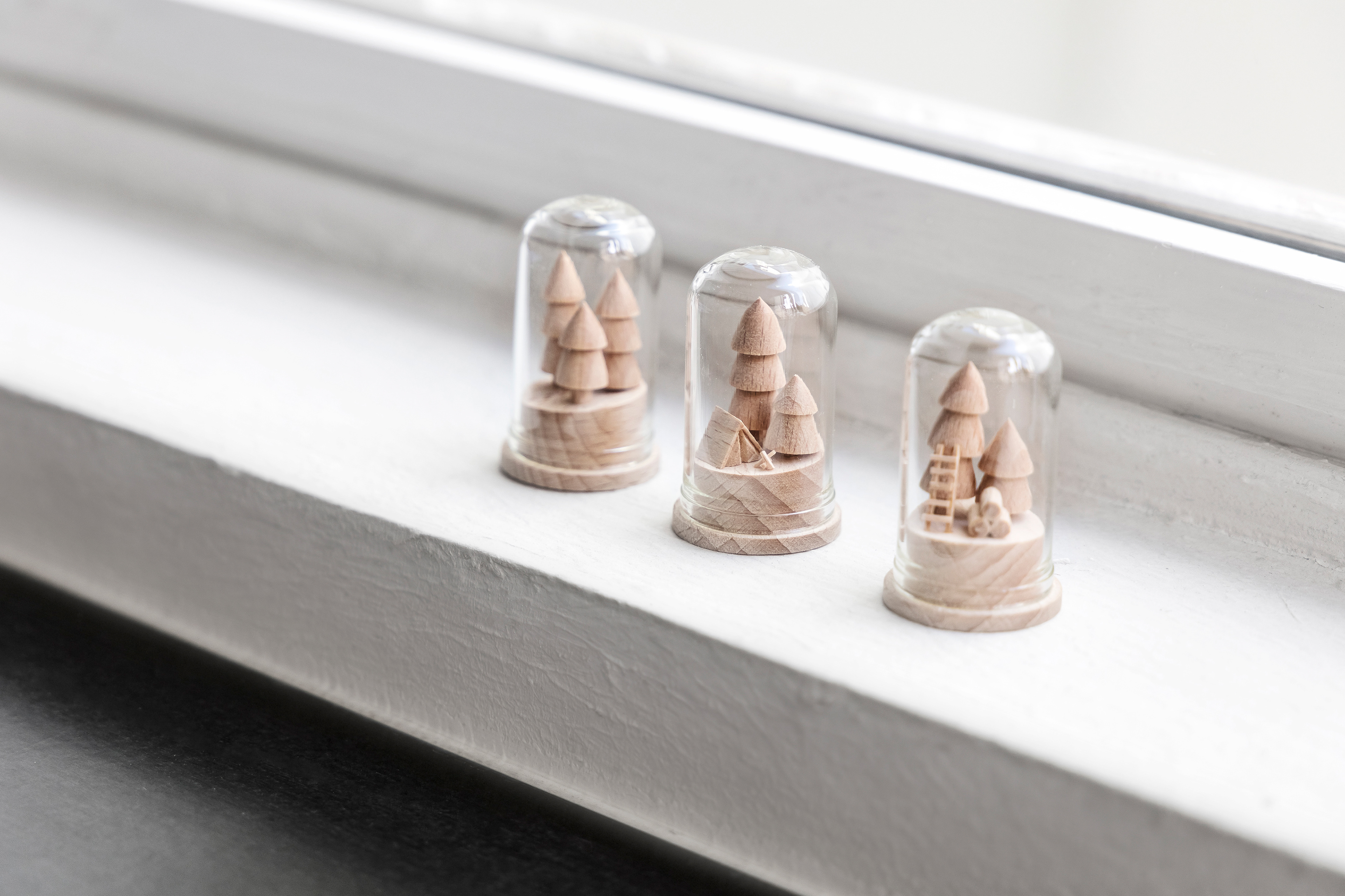 Tiny landscape en hêtre sous globe - 29€