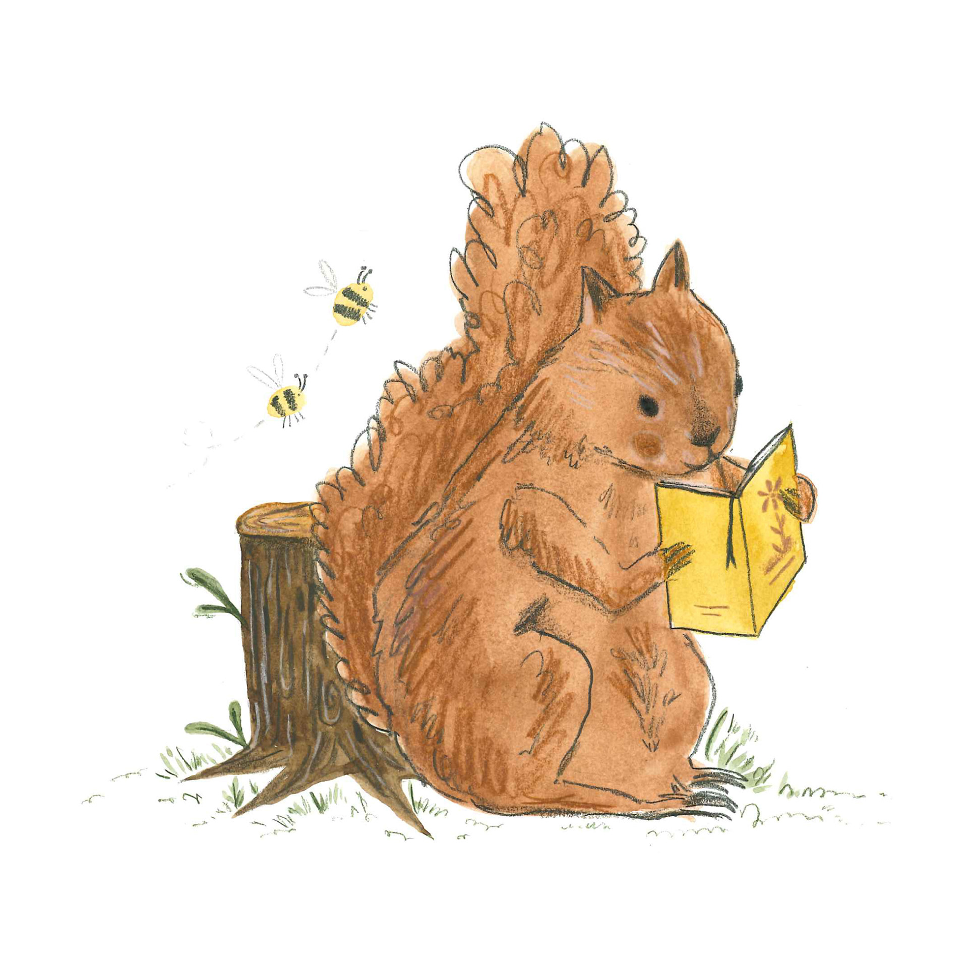 Initial Watercolour Concept