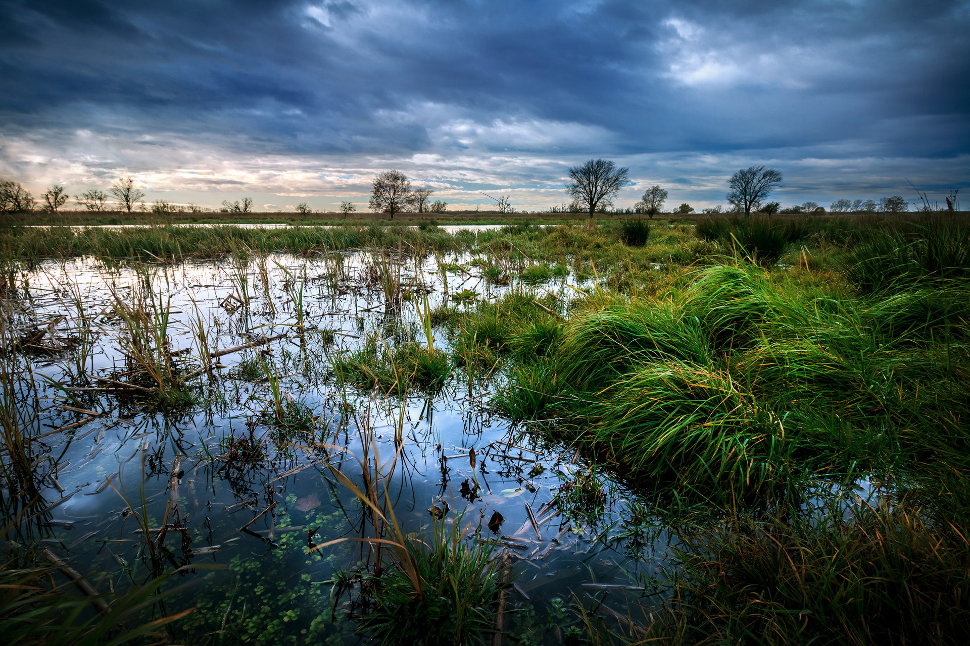 2017 - Osli-Hany, NW Hungary