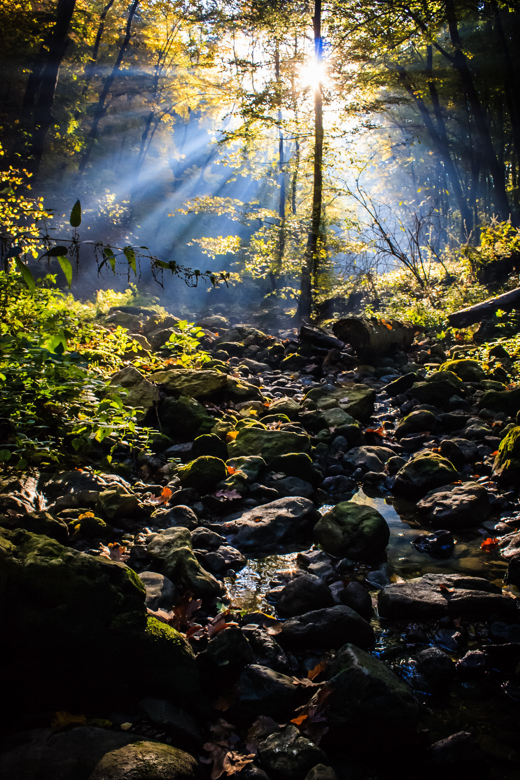 2012 - Bakony - W Hungary