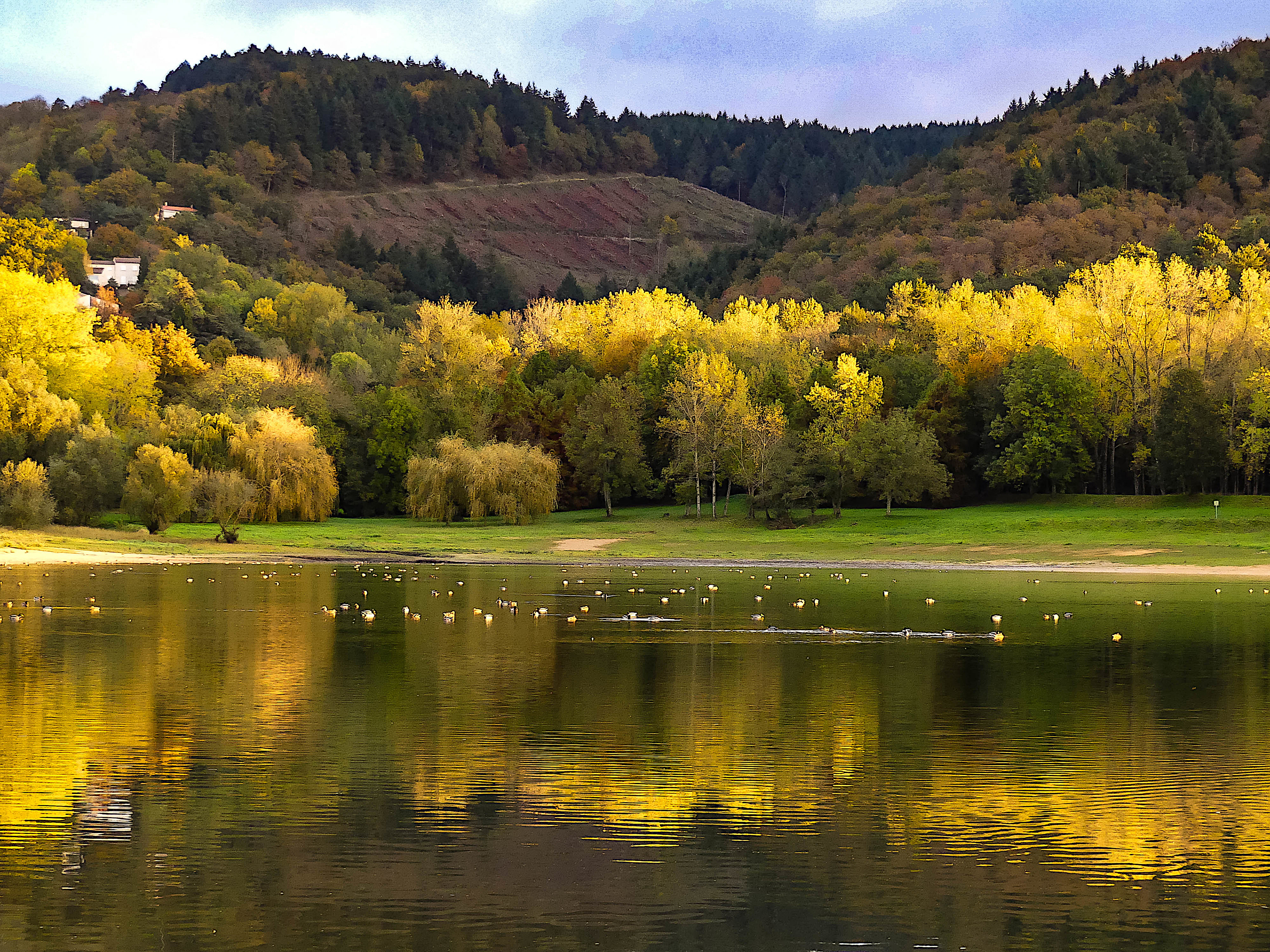 Bassin de St-Ferréol - Tarn