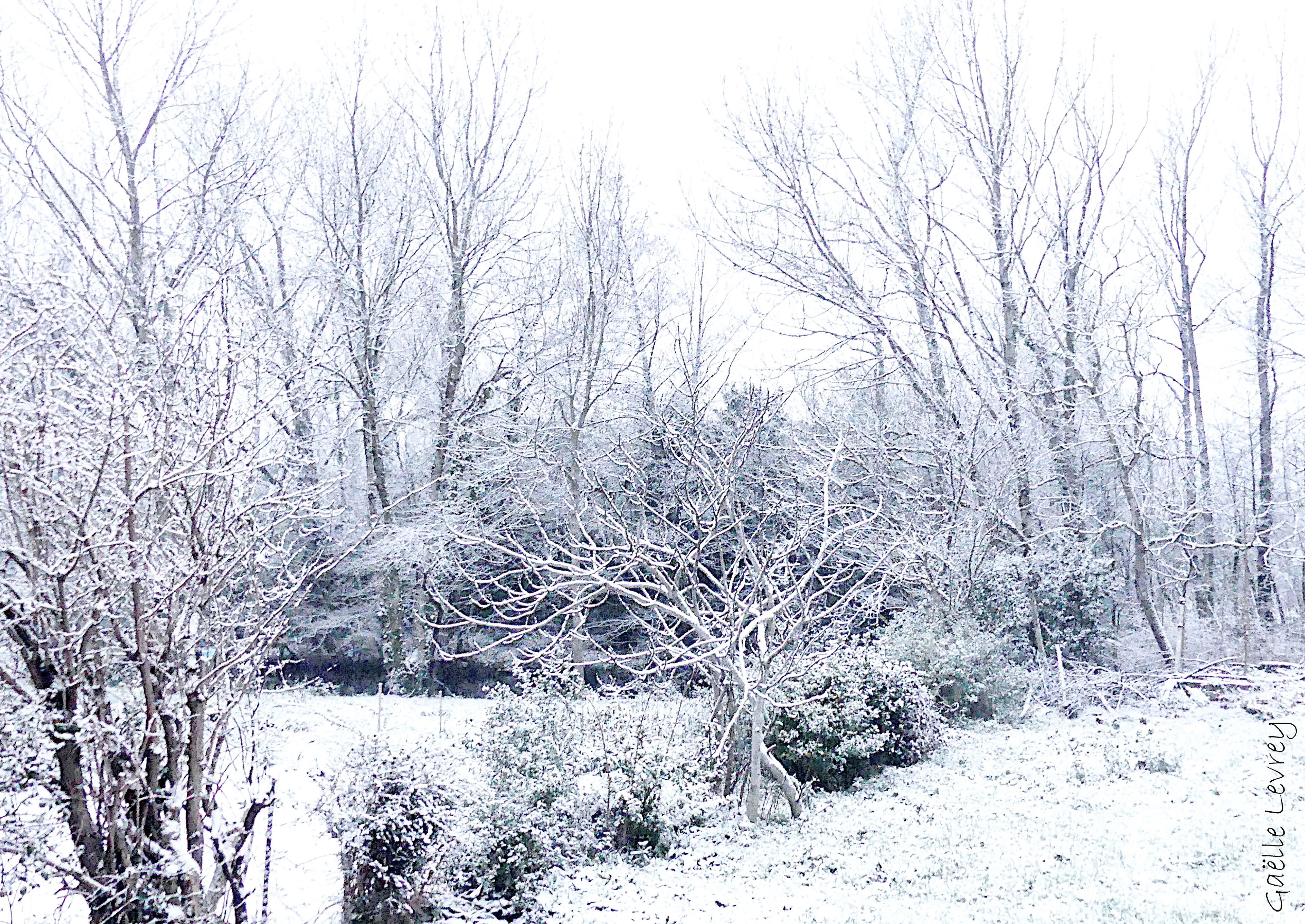 Hiver du Tarn