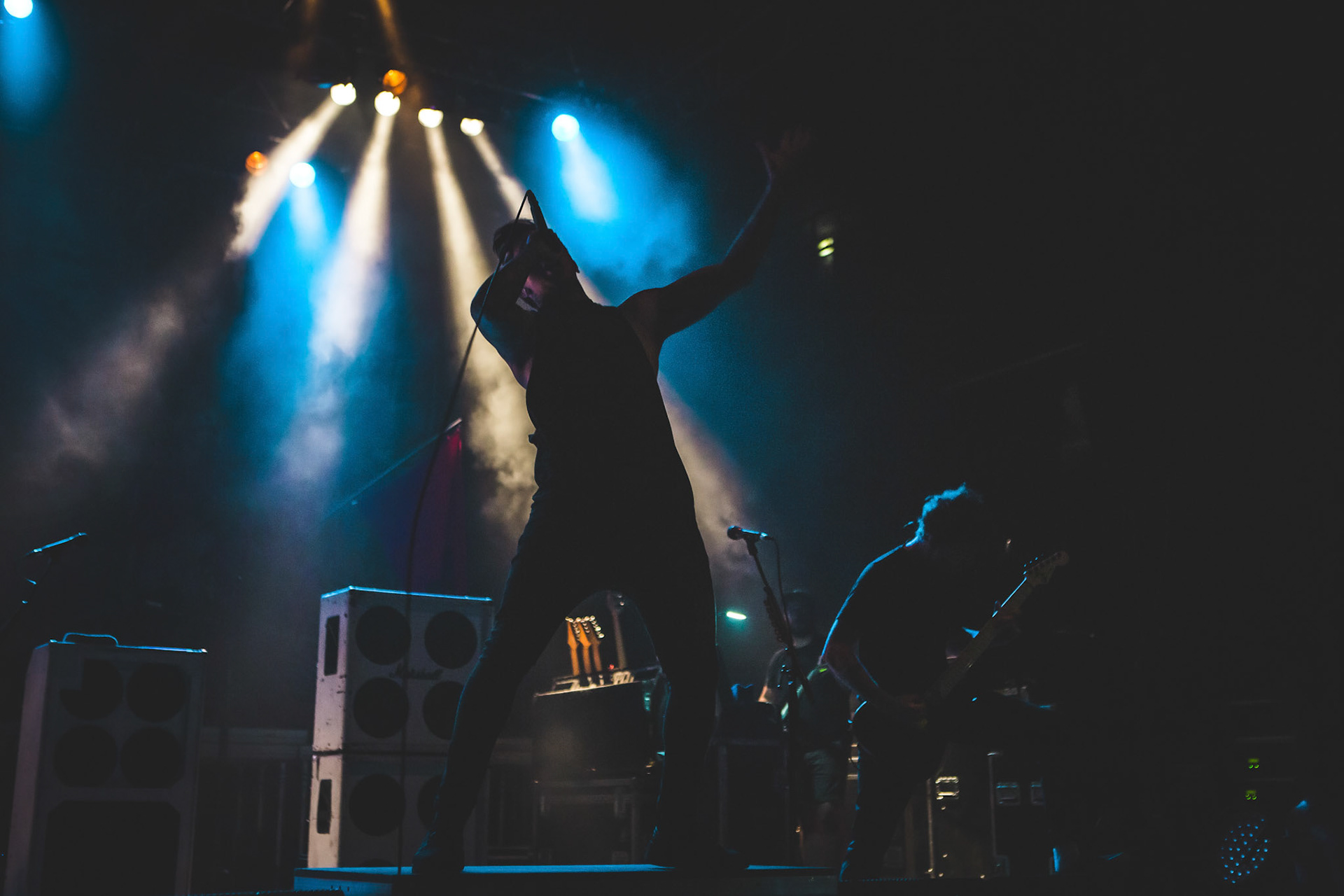 While She Sleeps