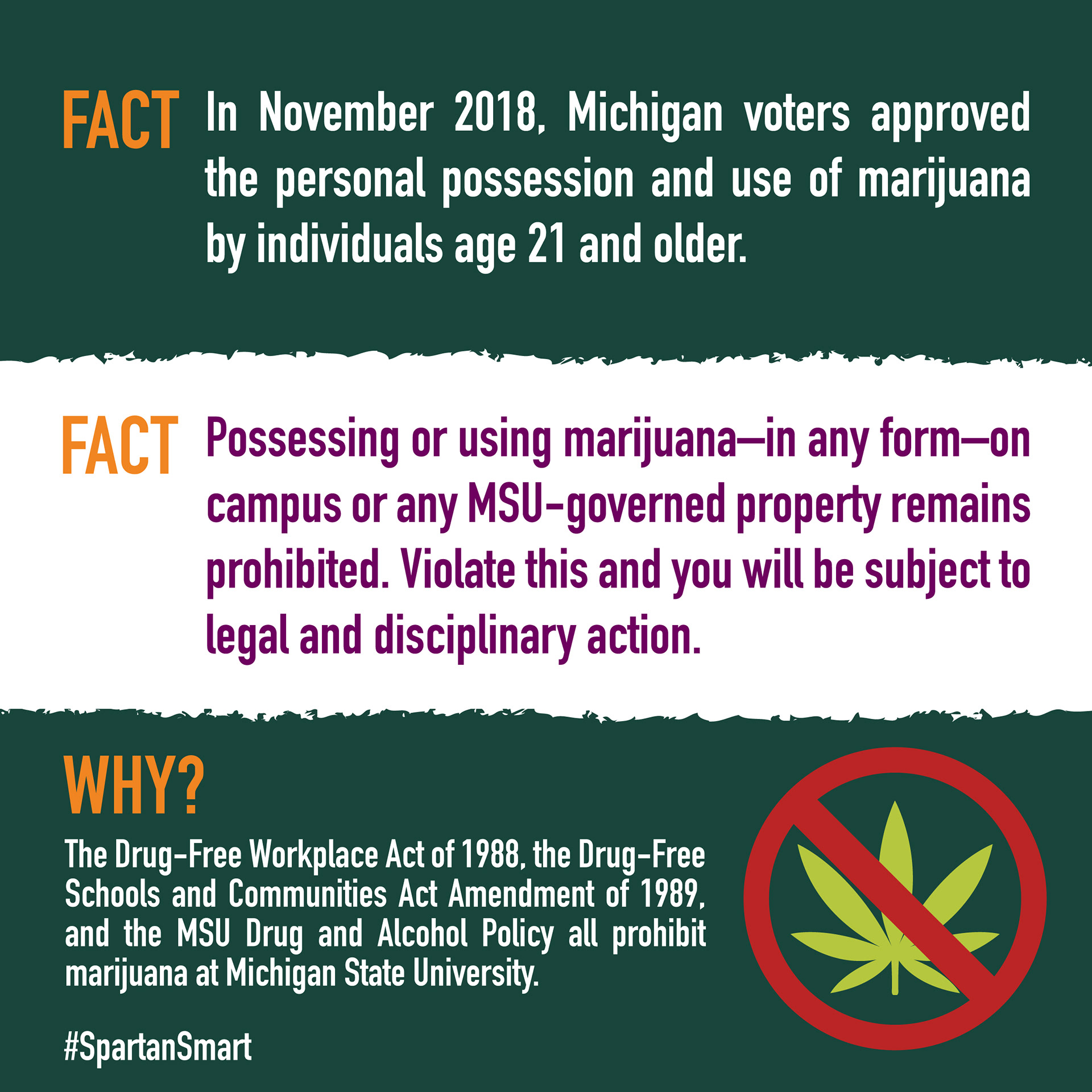 A fake campaign deliverable made for a project in "Rhetoric, Persuasion, and Culture." The campaign was to inform MSU students about marijuana use and possession on campus.