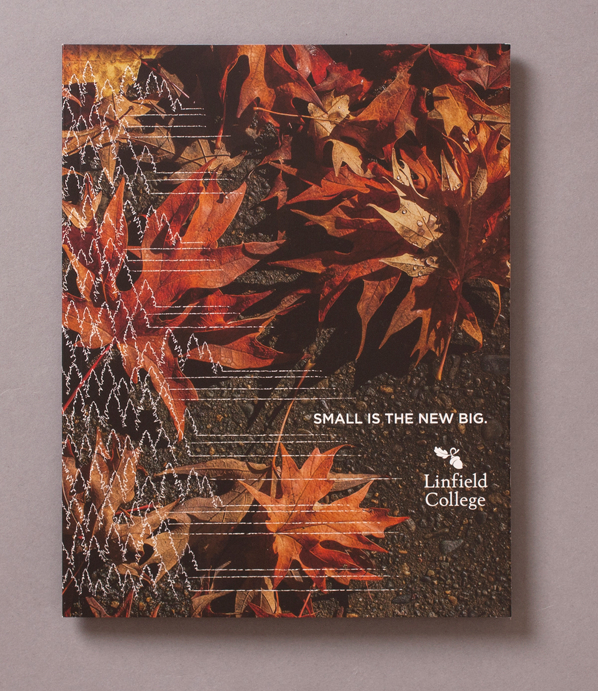 Viewbook cover, highlighting the visual size comparison of Linfield's campaign slogan "small is the new big". By juxtaposing the tiny tree illustration with the oversized leaves, we let people know right away that Linfield had a different way of looking at the world.