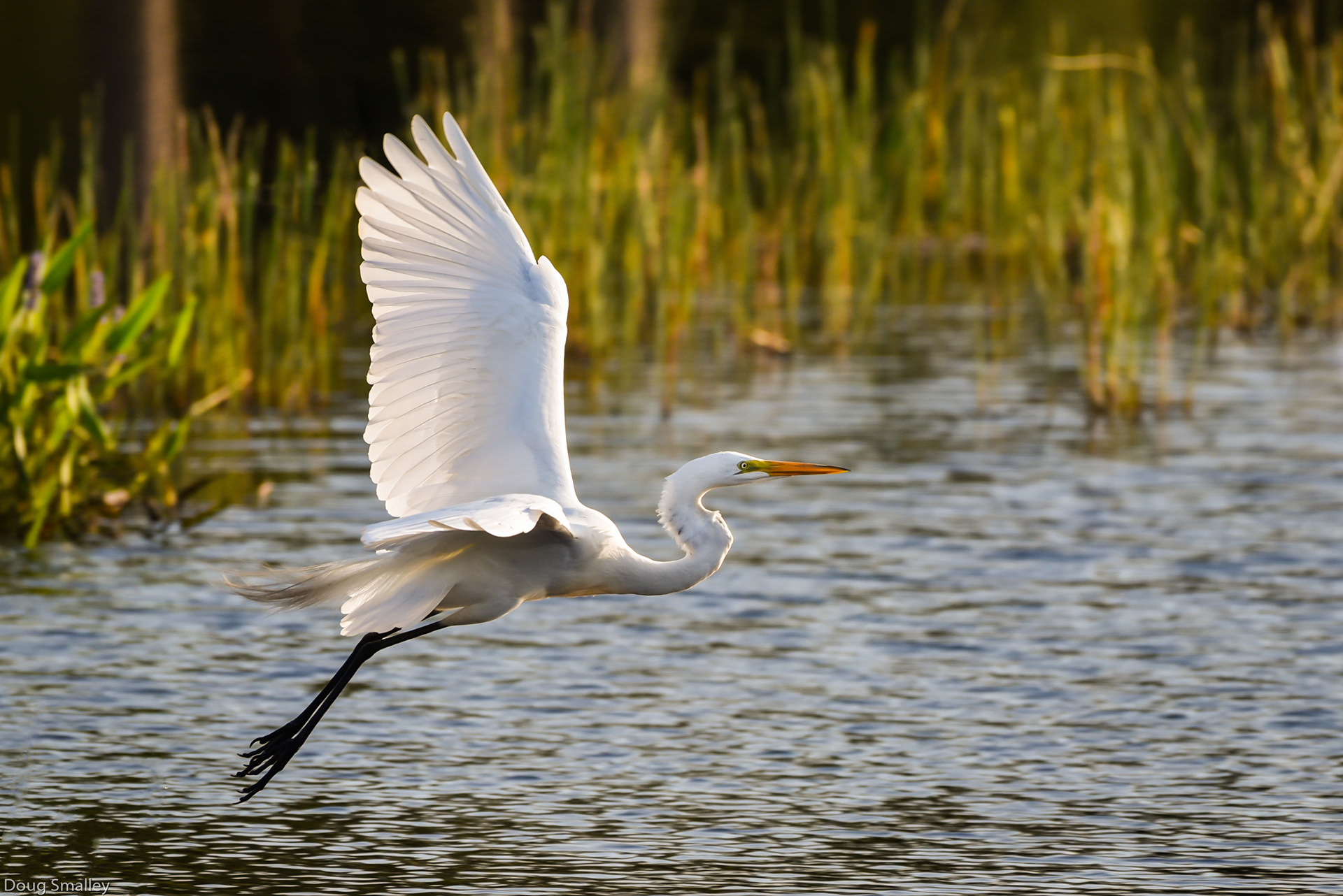 Florida, USA