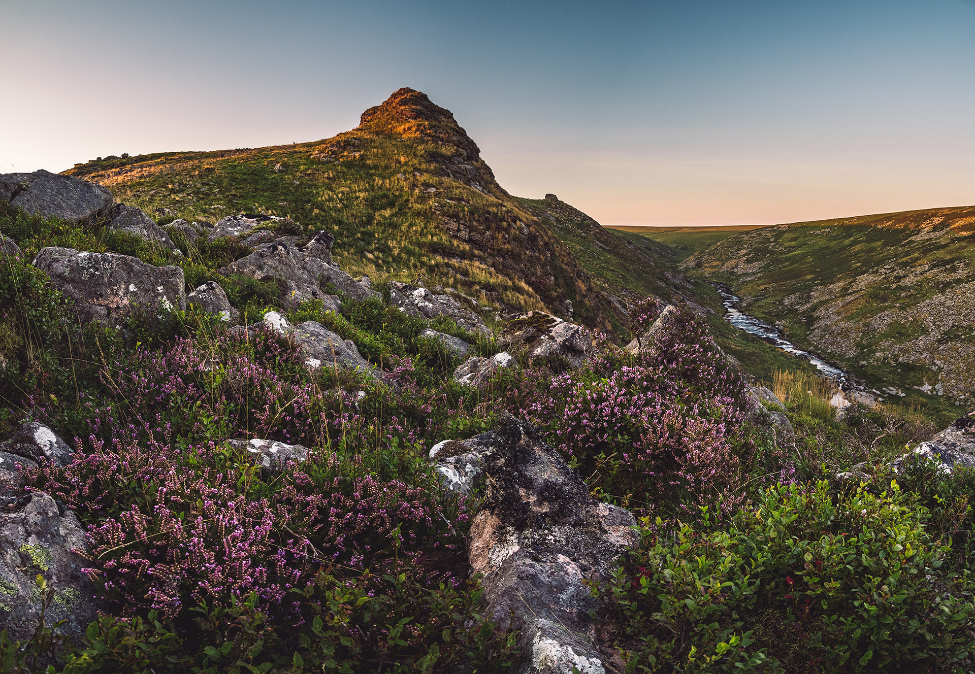 Pink heather and sunset at Tavy Cleave