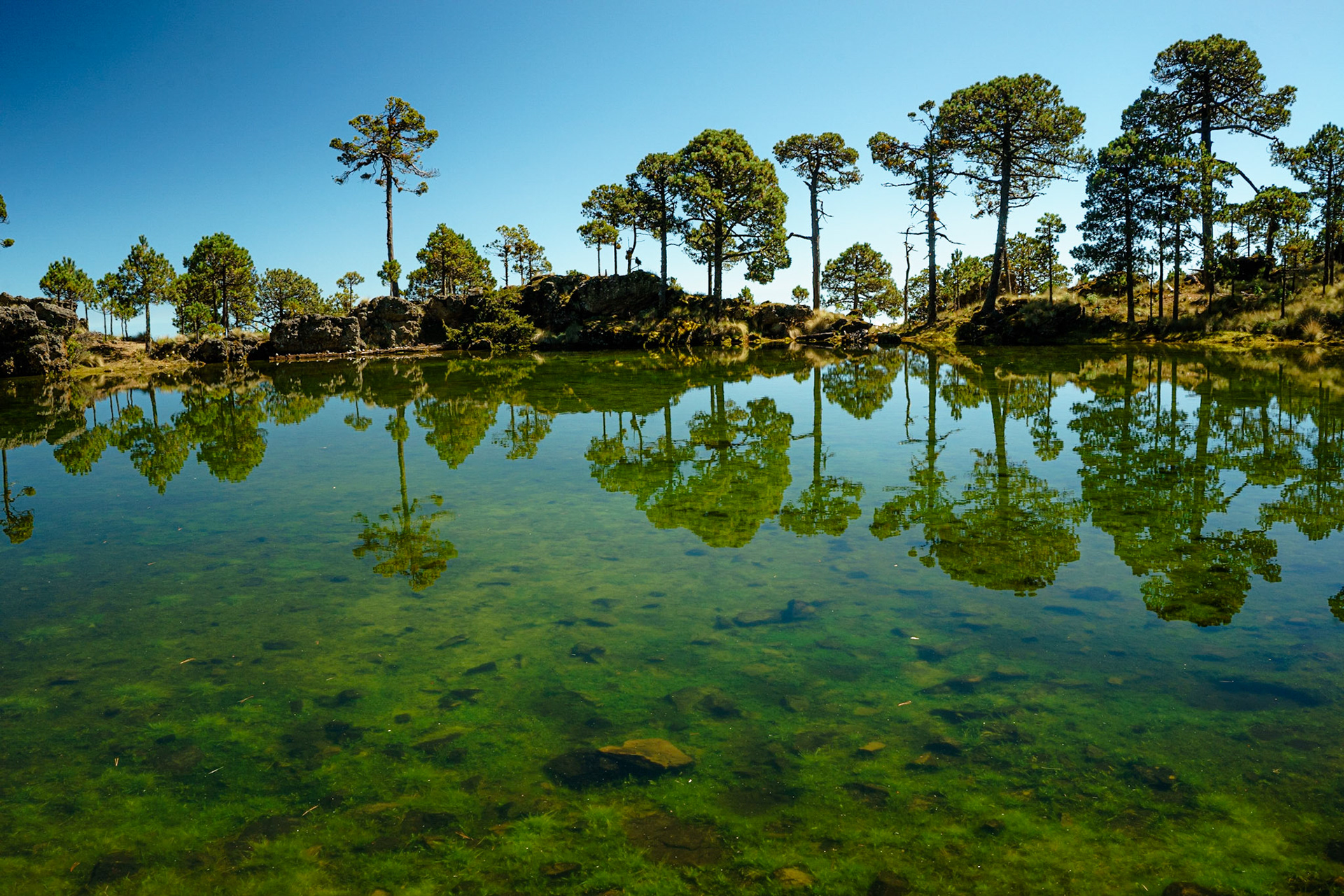 Mexiko - Bergsee am Cofre del Perote