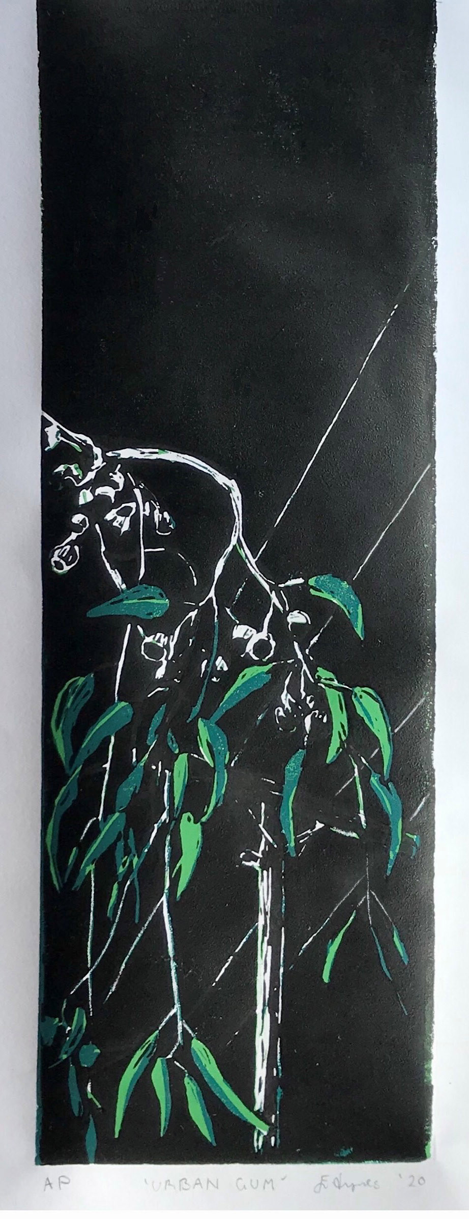 Elizabeth Hynes - Certificate IV in Visual Arts