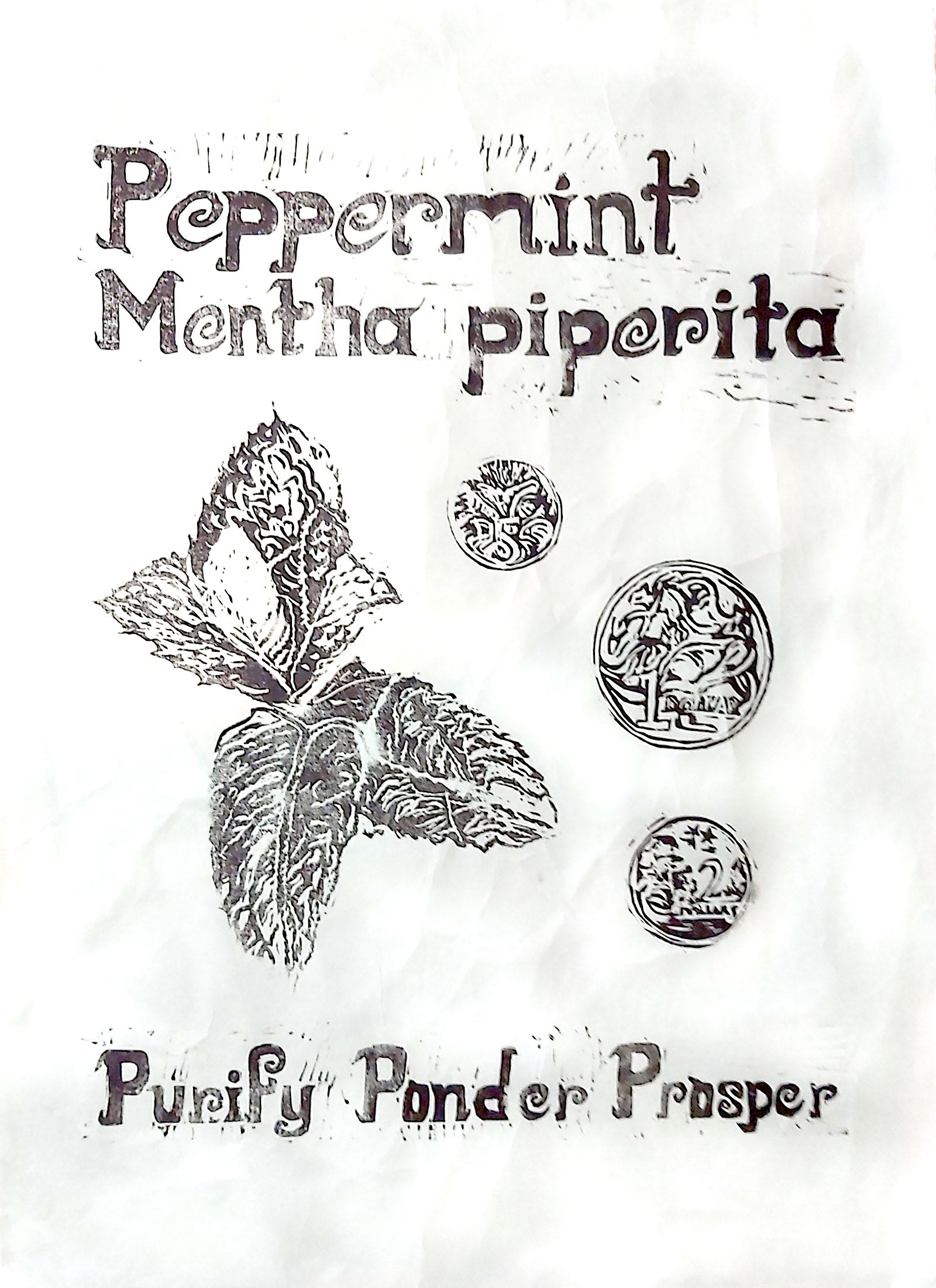 Connie Pennisi - Advanced Diploma of Creative Product Development