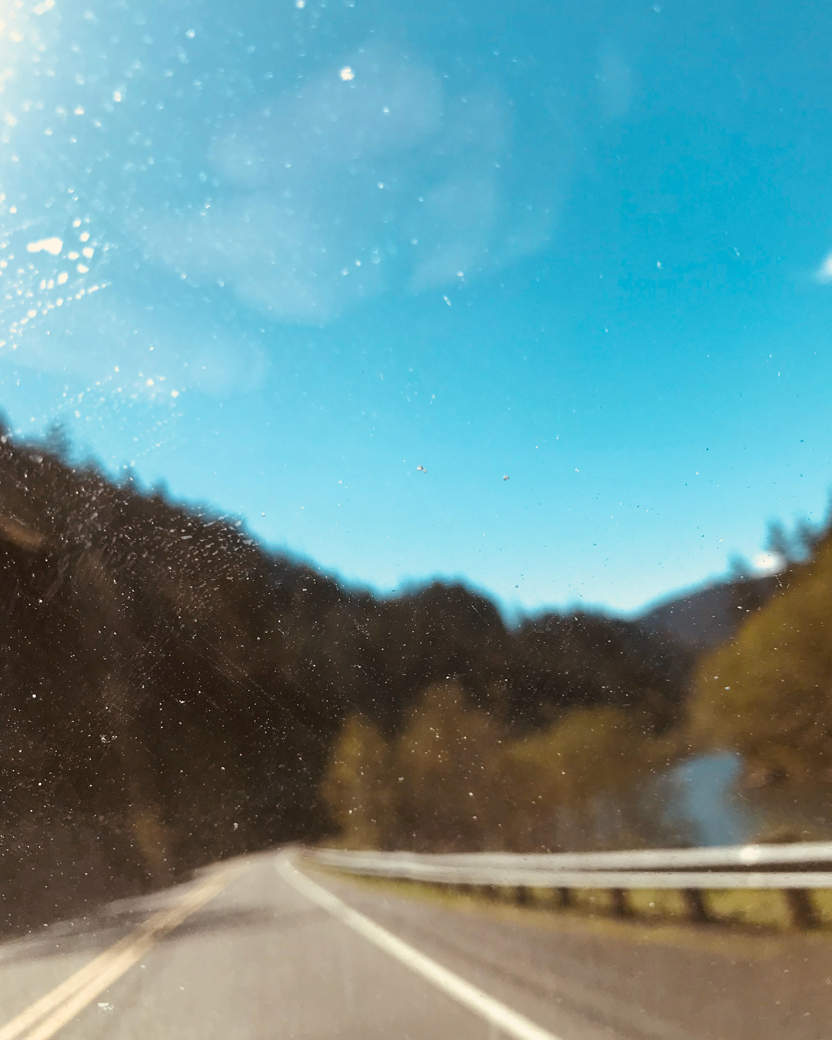 Out the front window.