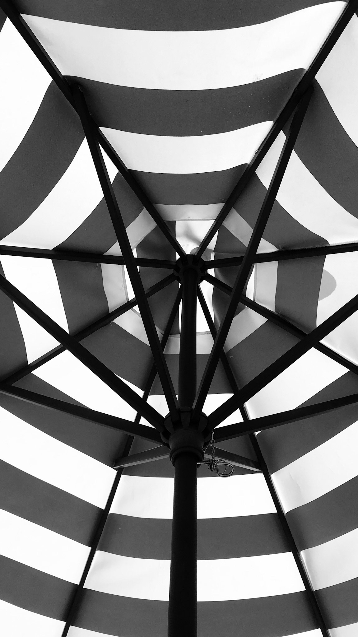 Patterns underneath revealed by looking up.