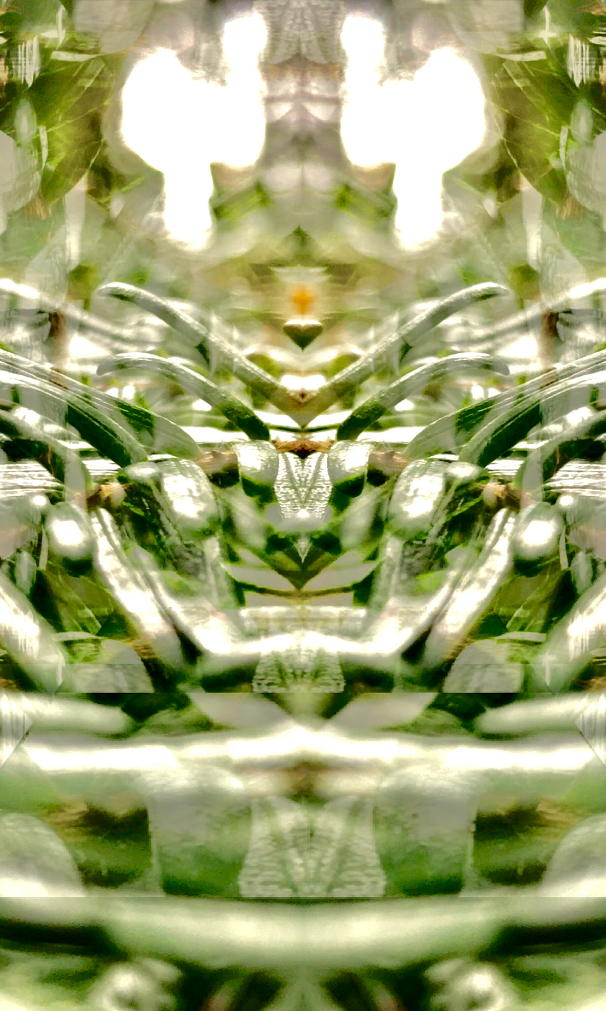 A reflection and some layers.
