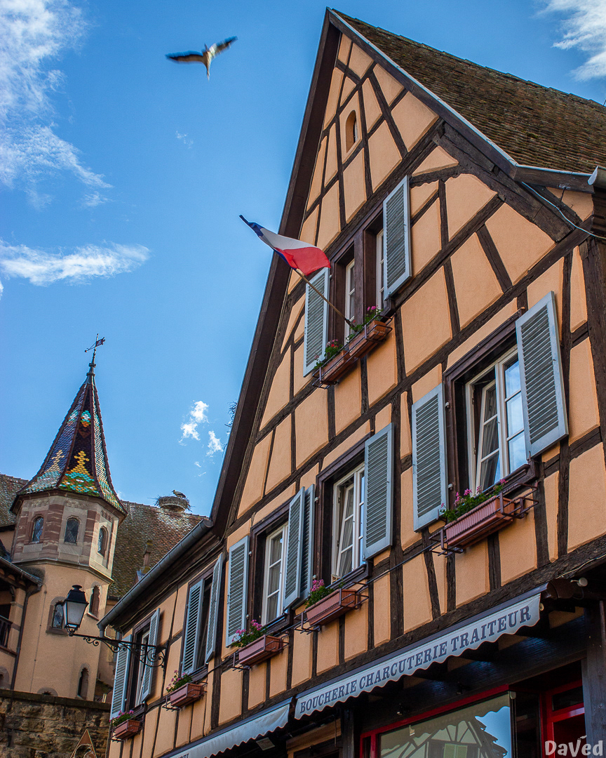 Eguisheim (68)
