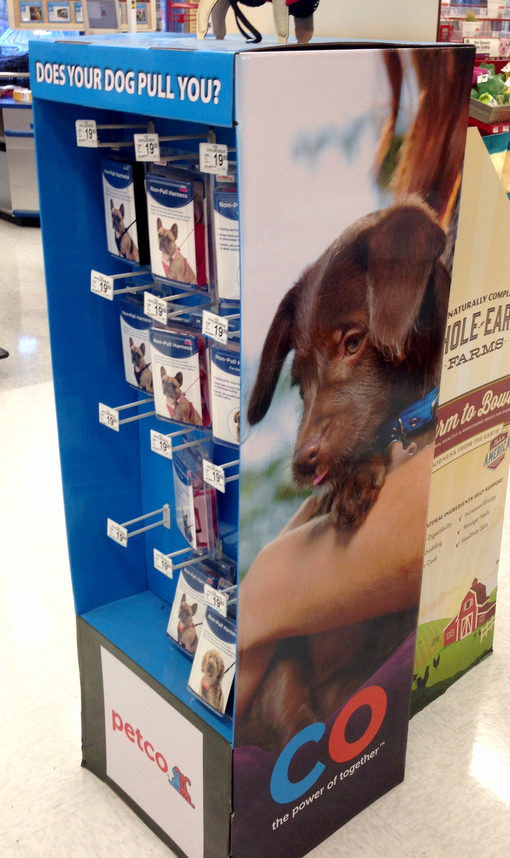 Brand Imagination Petco ReBrand Campaign CO The Power of Together