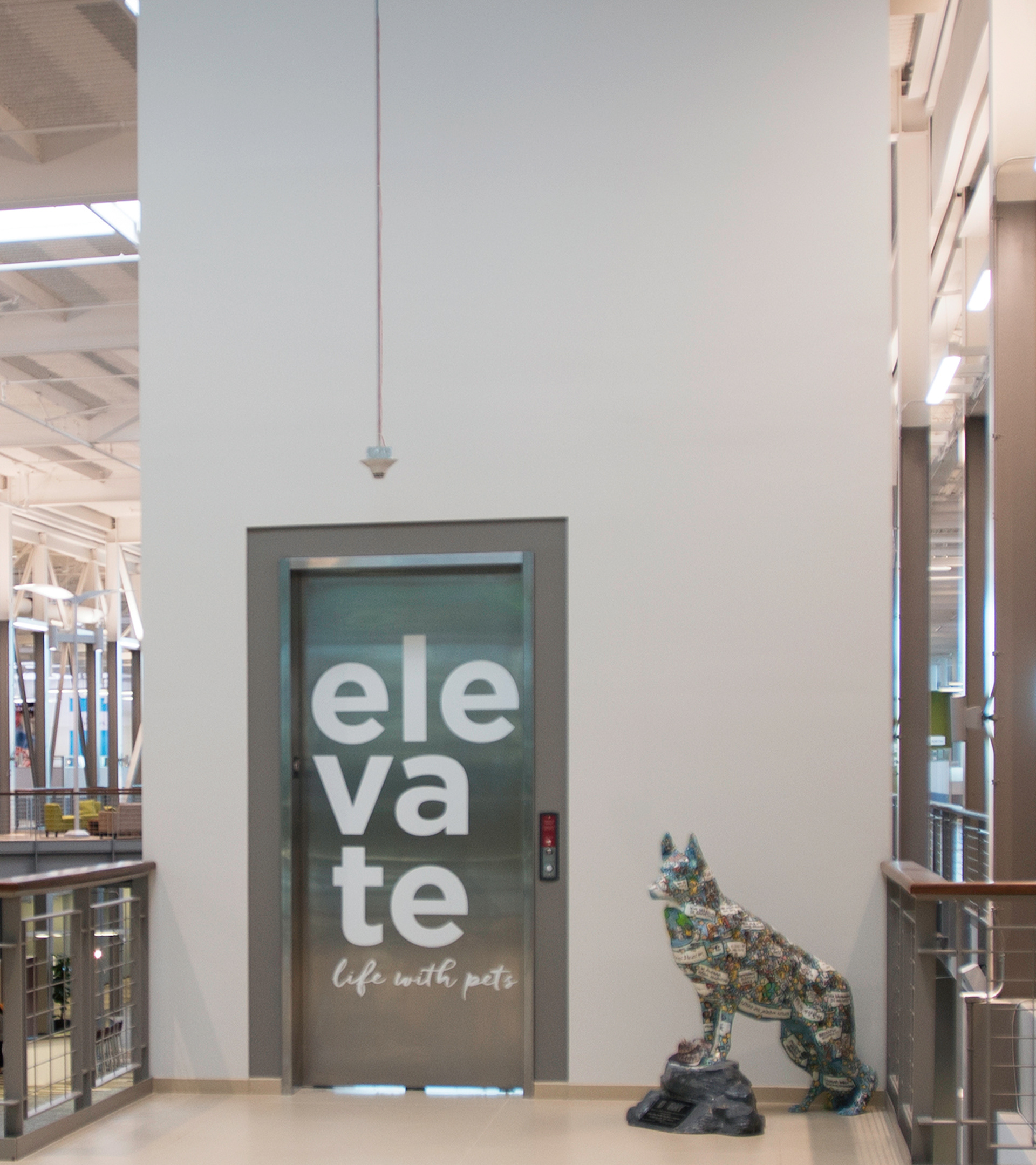 Brand Imagination Petco New Corporate Headquarters Experience